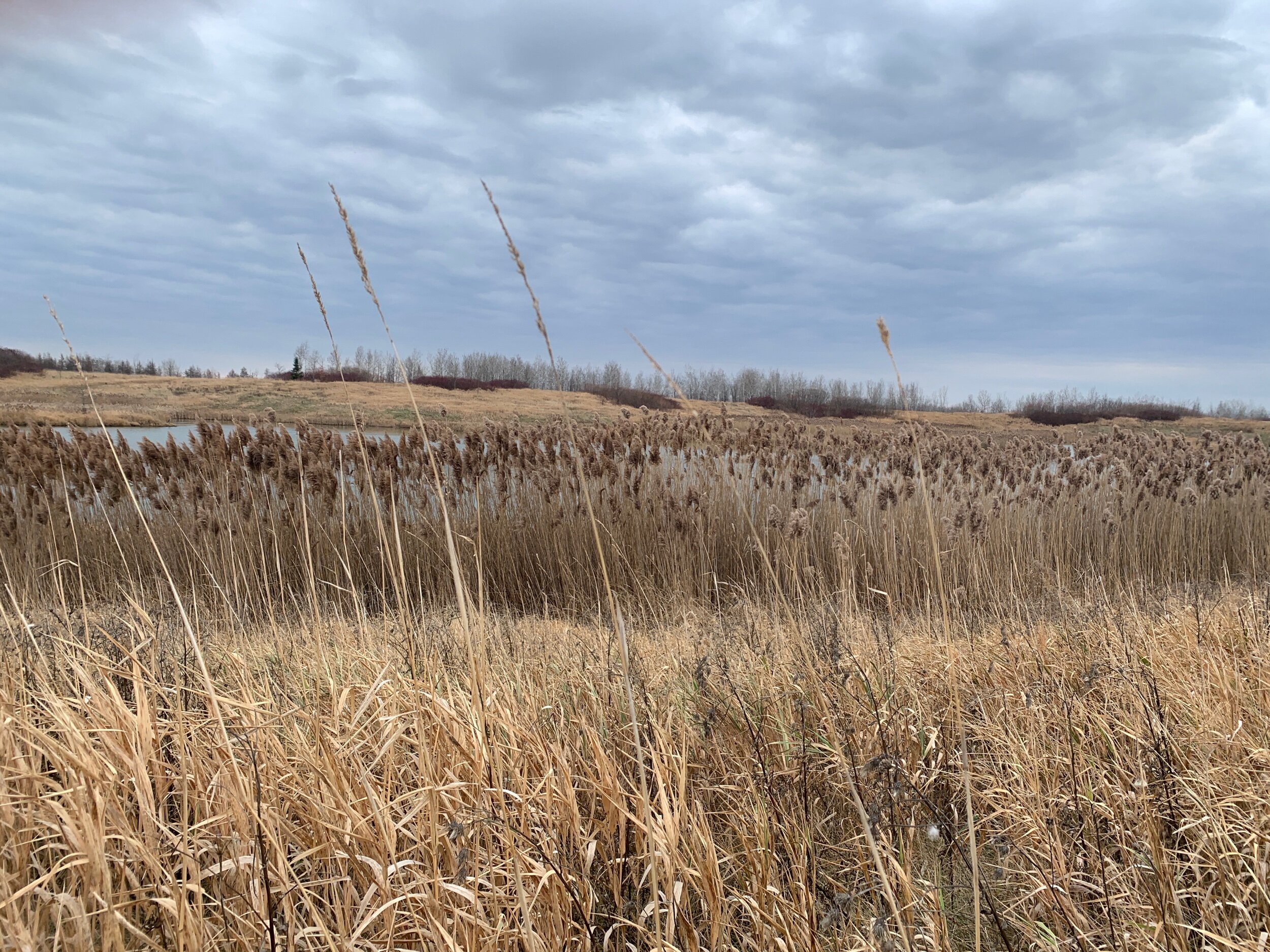 Am I having a stroke? Is this my last day on Earth?