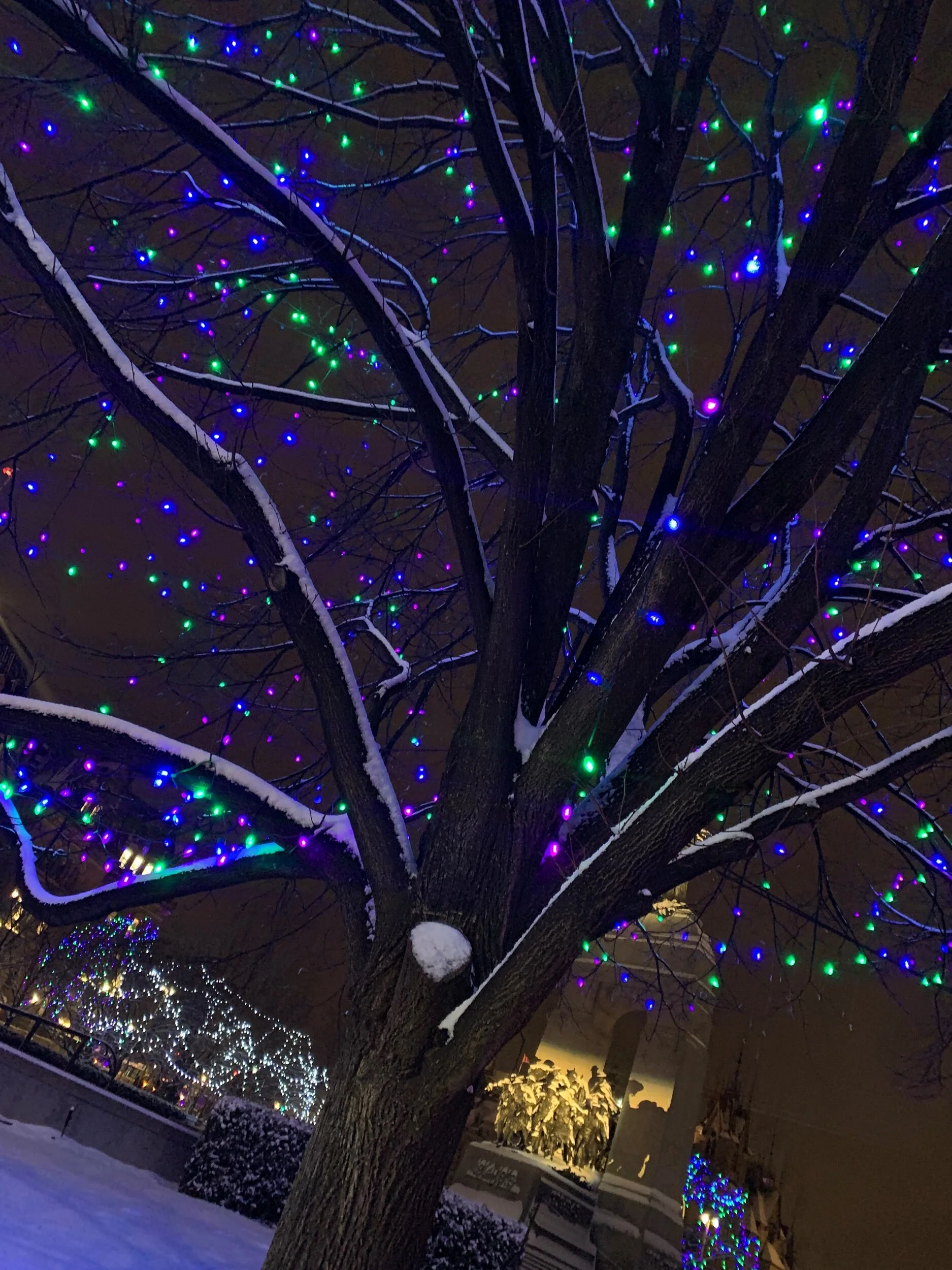 How will you celebrate Christmas this year?