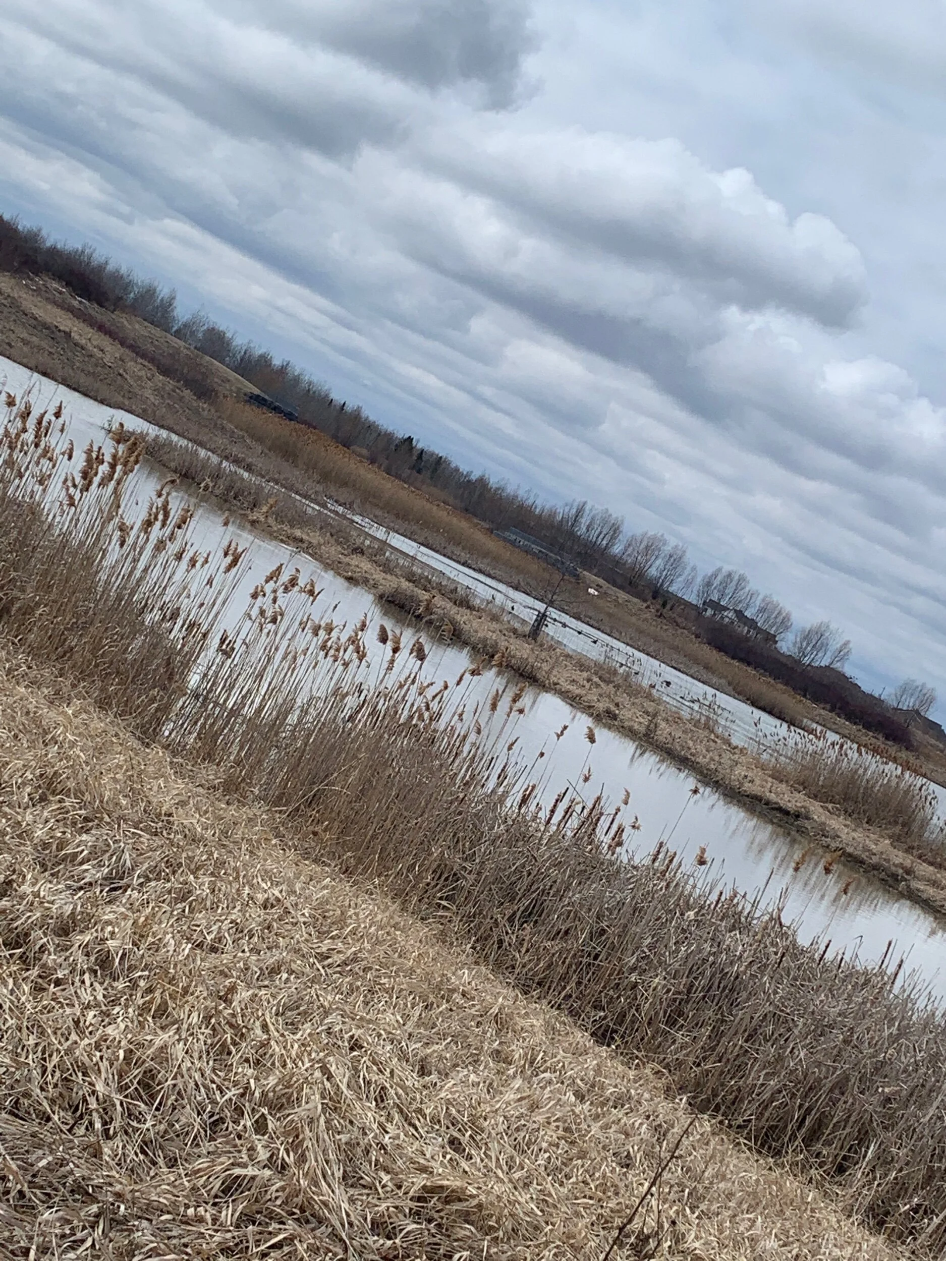 What my burnout looked like