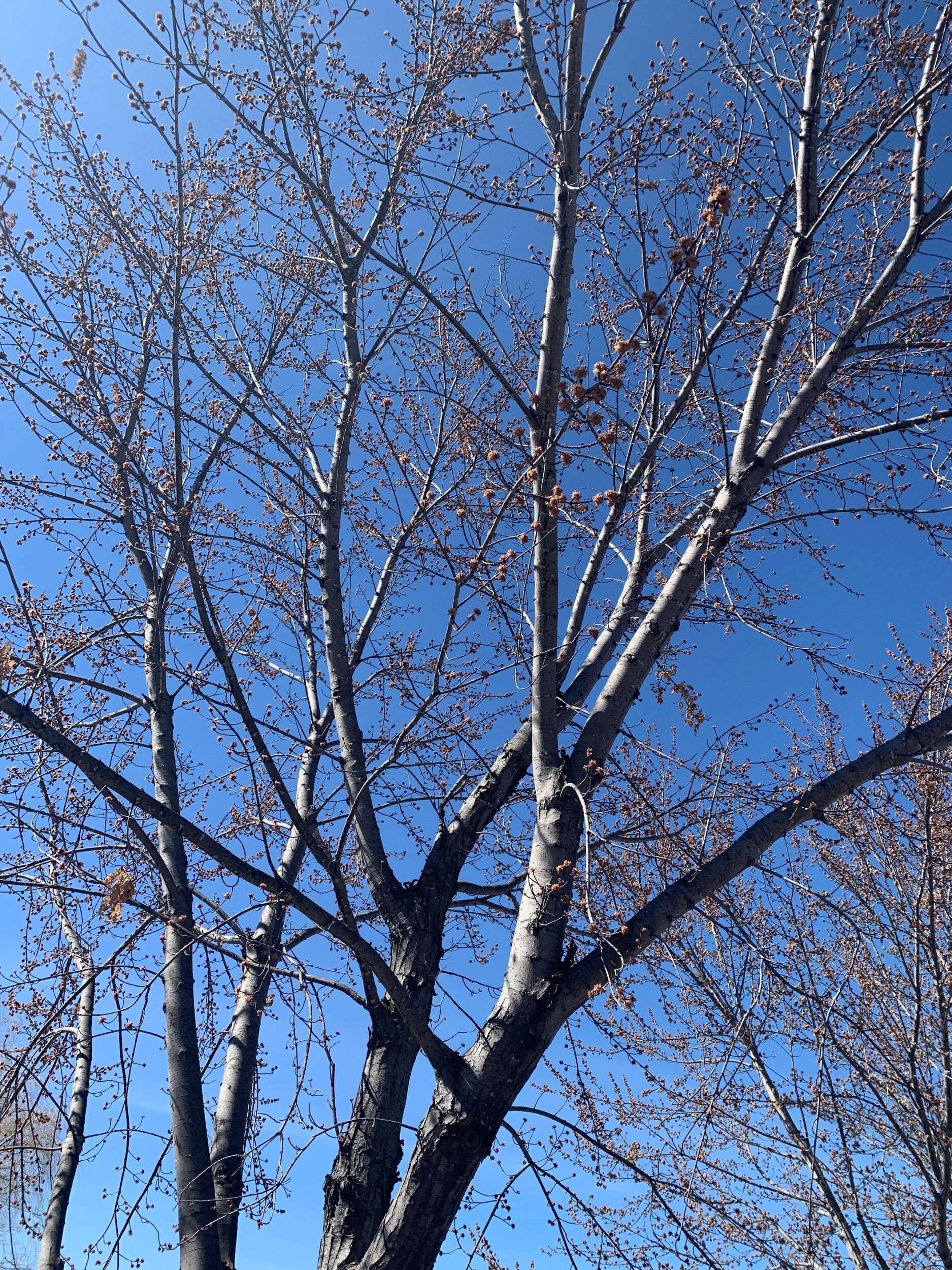 Celebrate one year anniversary!! 