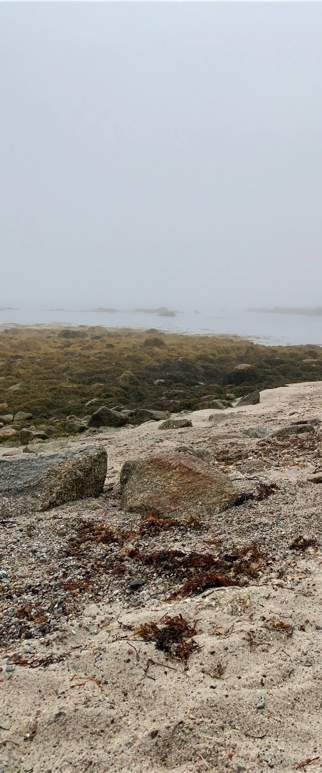 Surrounded by spirits