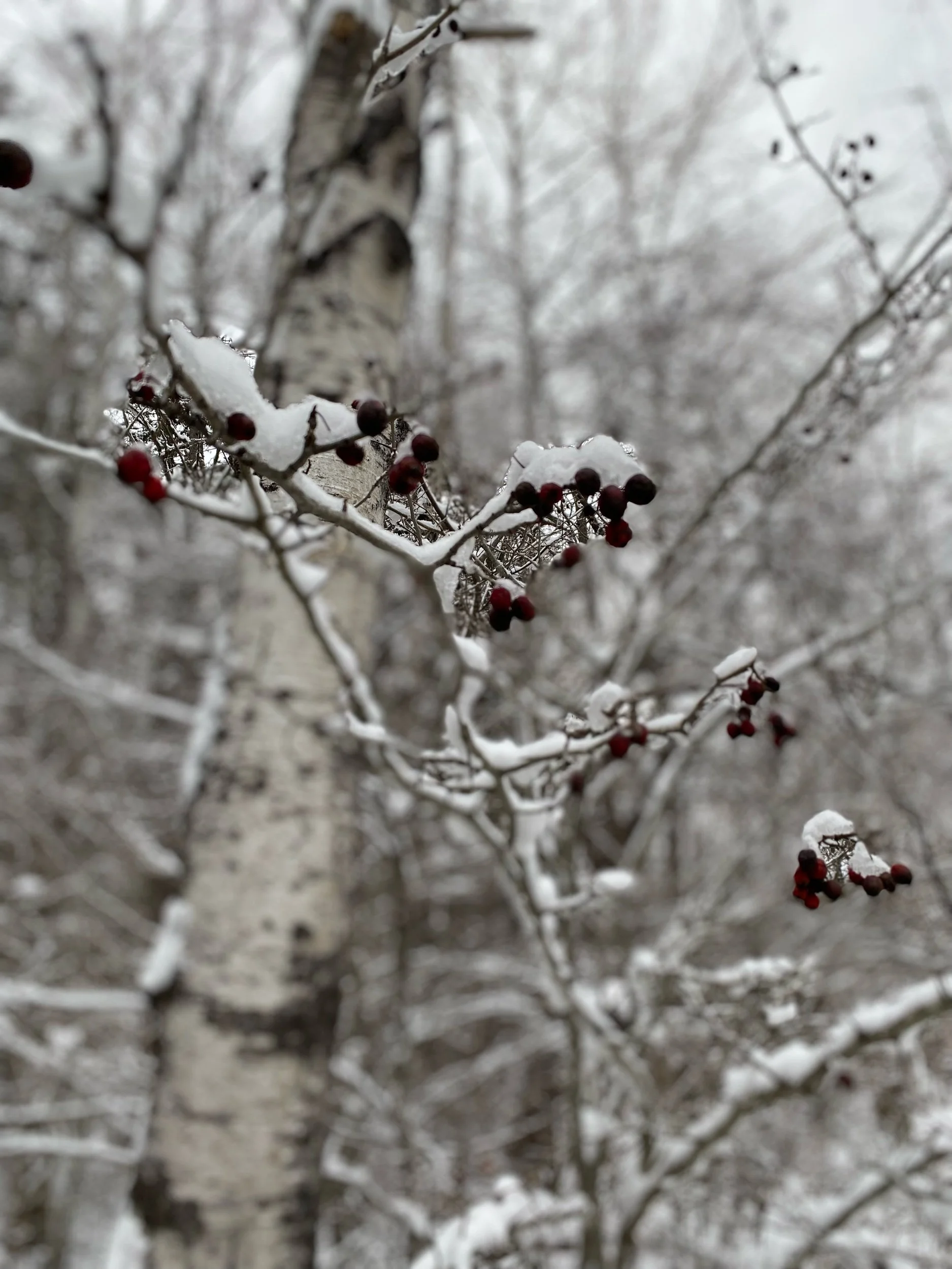 As we celebrate the end of 2021, how are you feeling? Burnout? Stressed out?