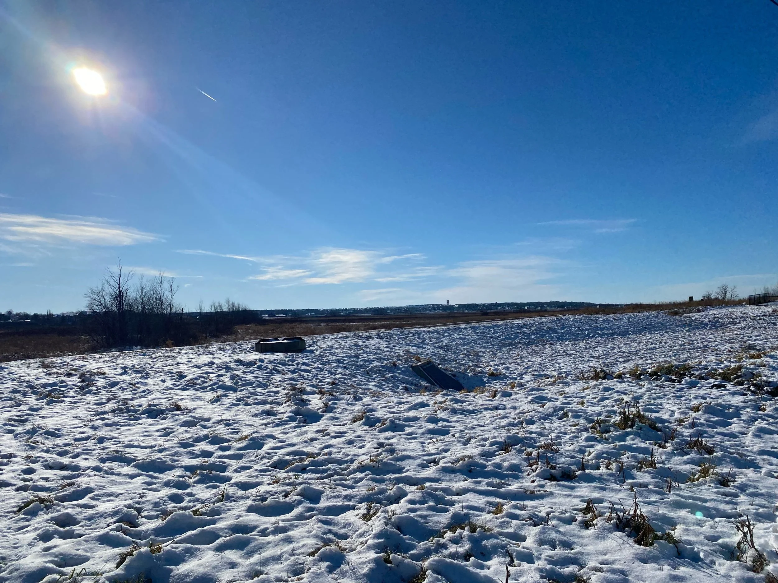 Navigating the Long Goodbye: Coping with the Mental and Physical Toll of Losing a Parent to illness