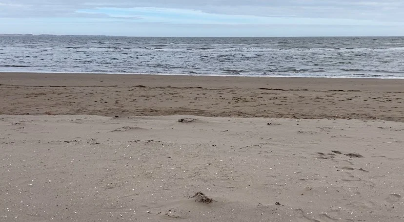 Empathetic Leadership: Living and Thriving with Mental Disability in the Workplace