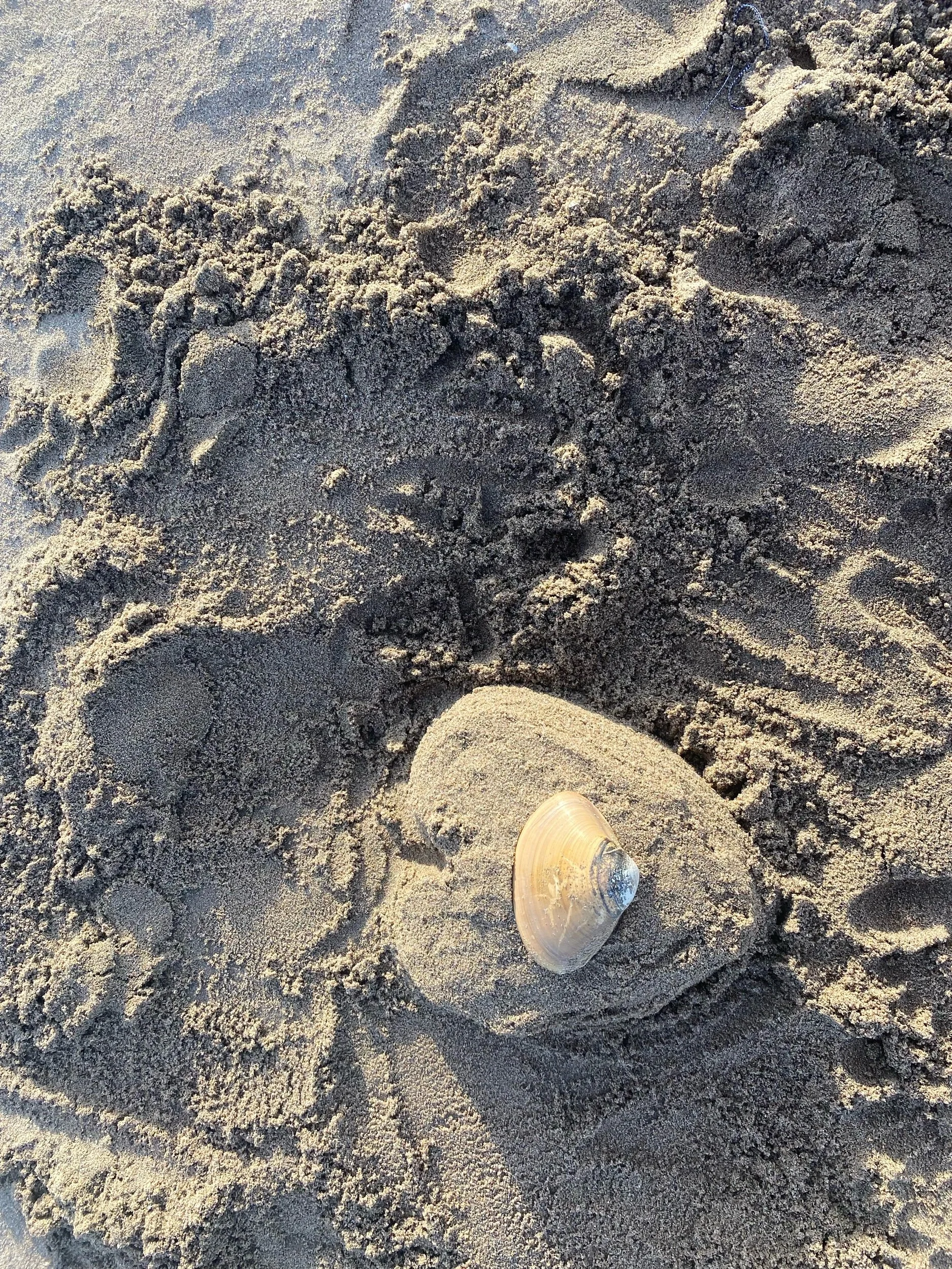 If I survived an abusive relationship, you can too!