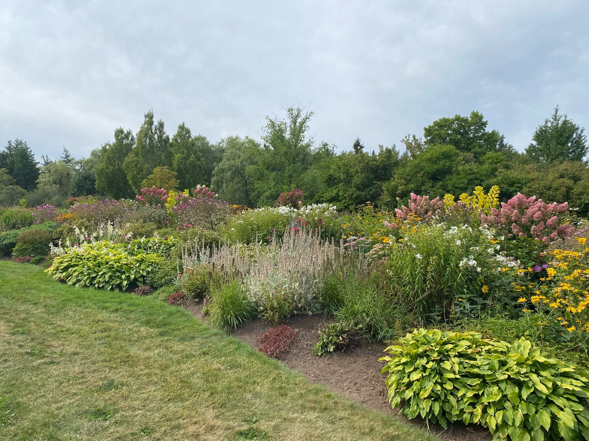 Love and Laughter are my preferred medication 