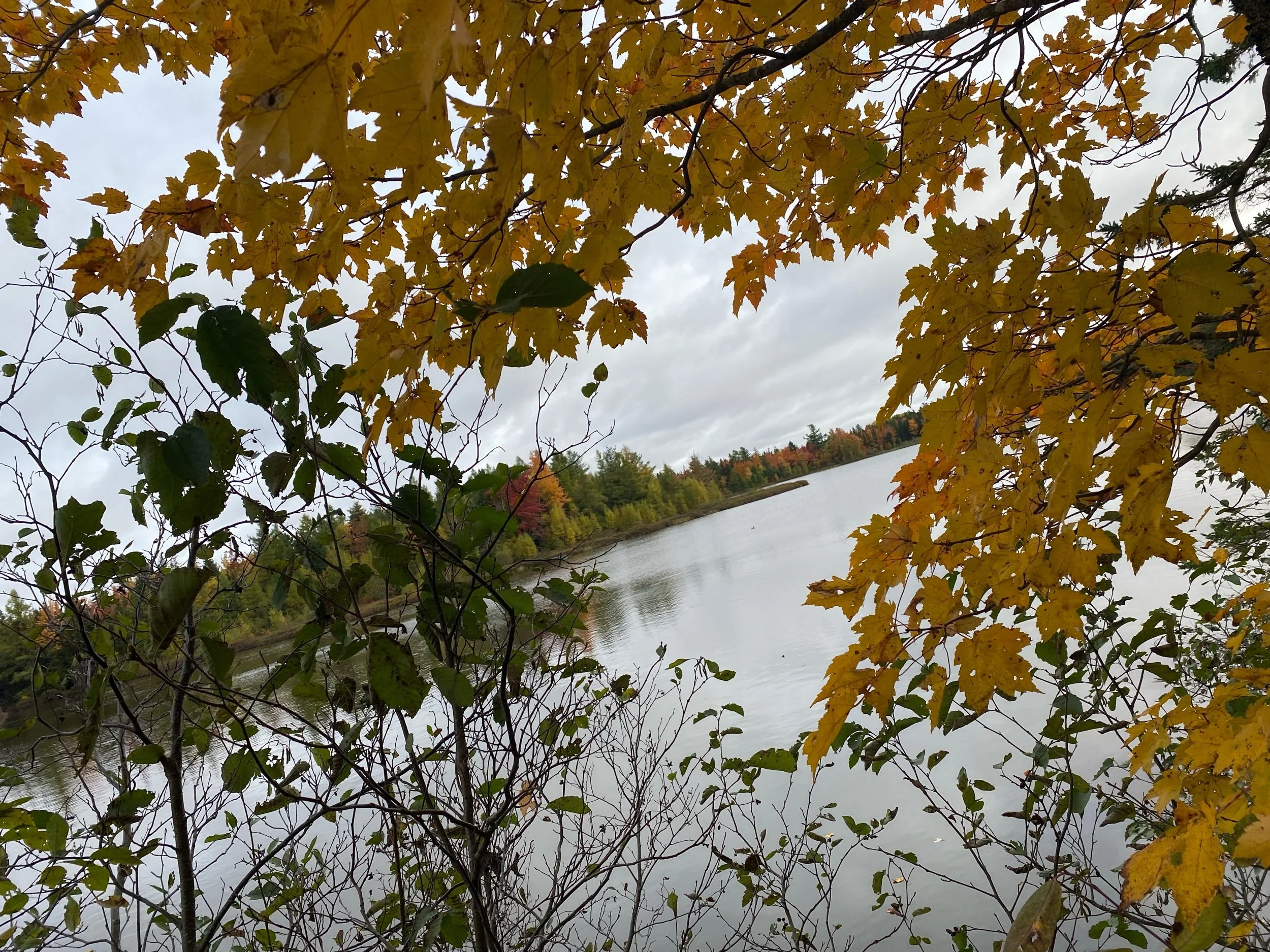 Living with the Loss: How I Feel Years After Losing My Babies