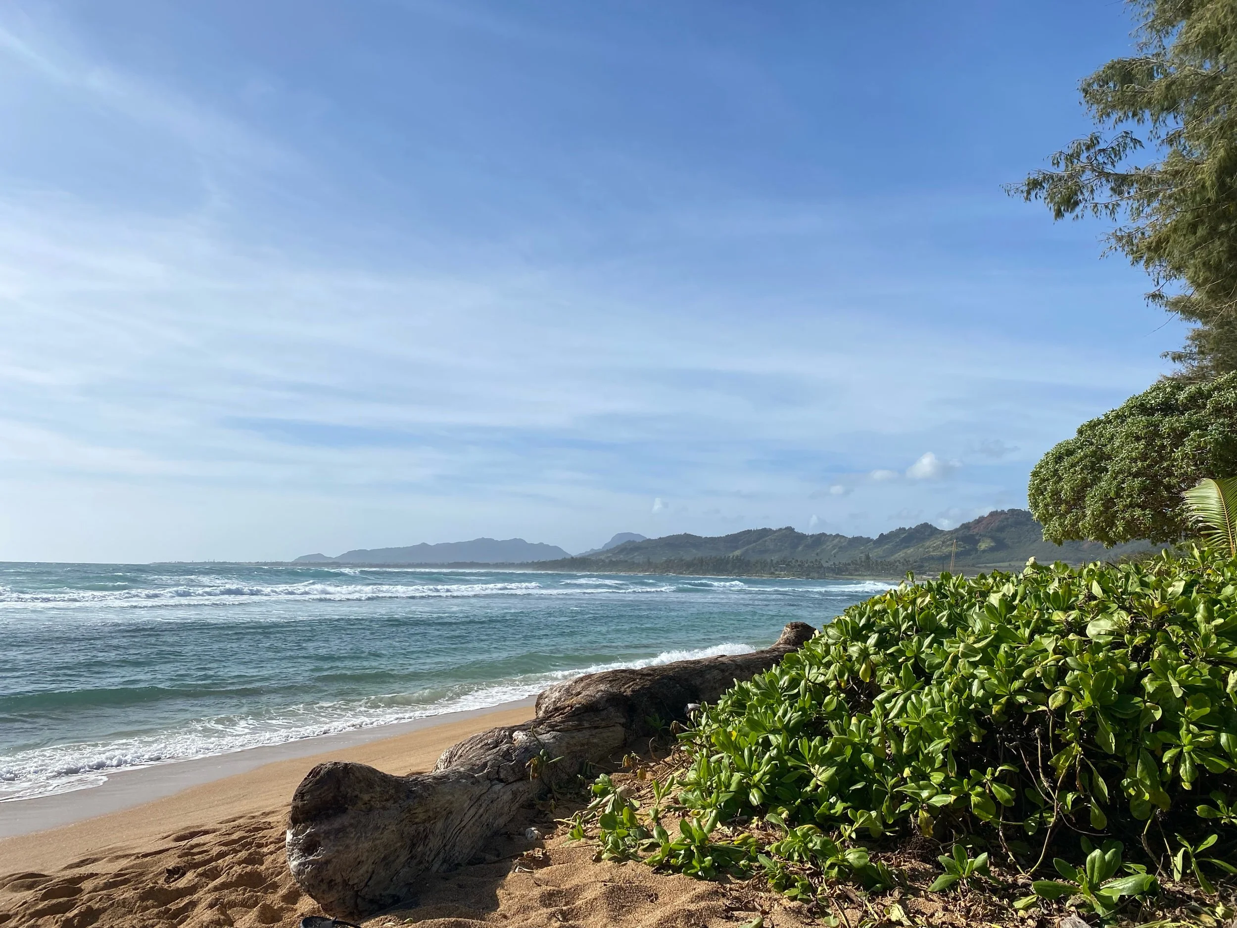 When Life Feels Heavy: A Personal Reflection on Struggling with my Mental Health