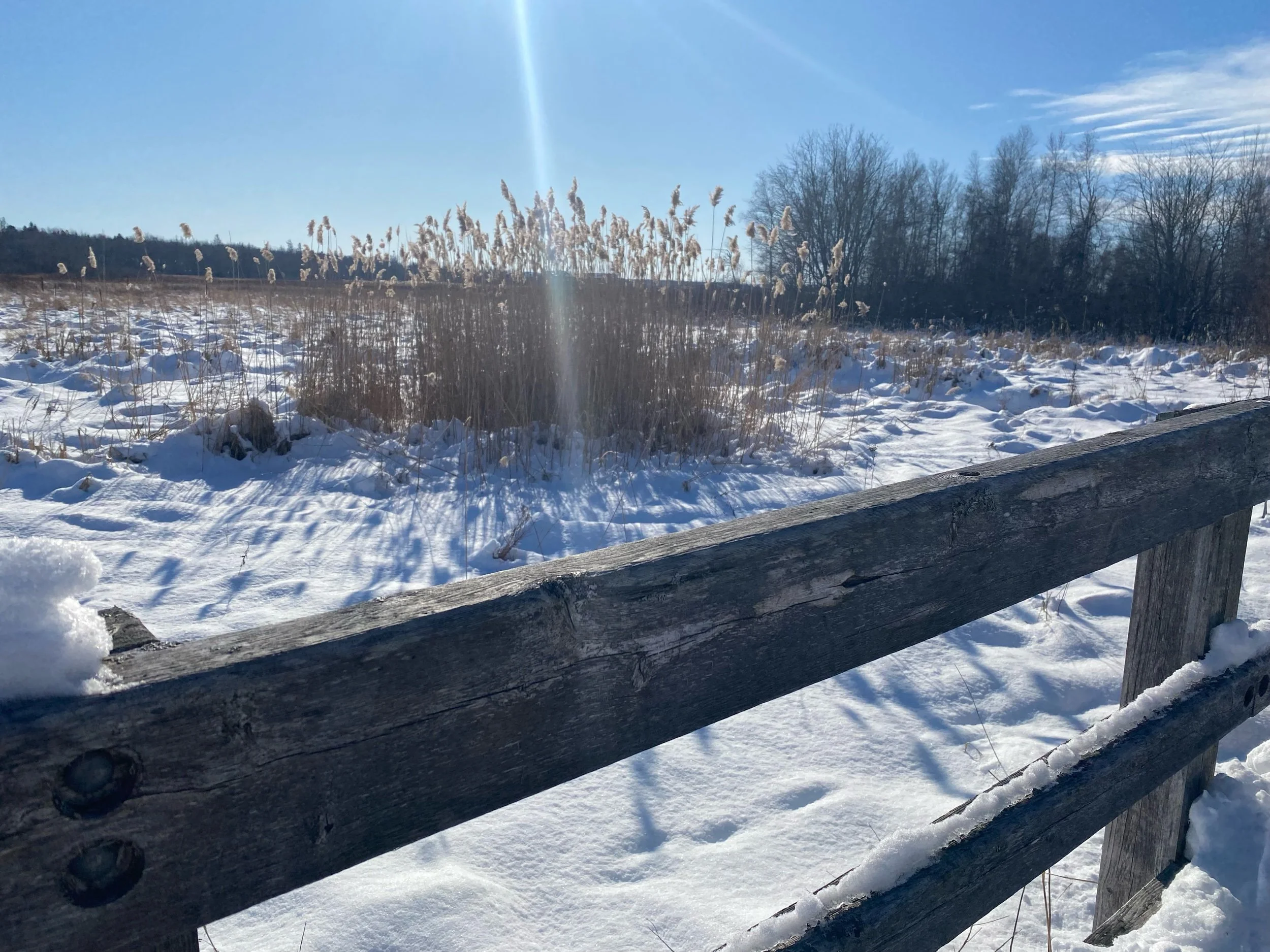 The Power of Journaling: A Beautiful Shift After Vulnerability