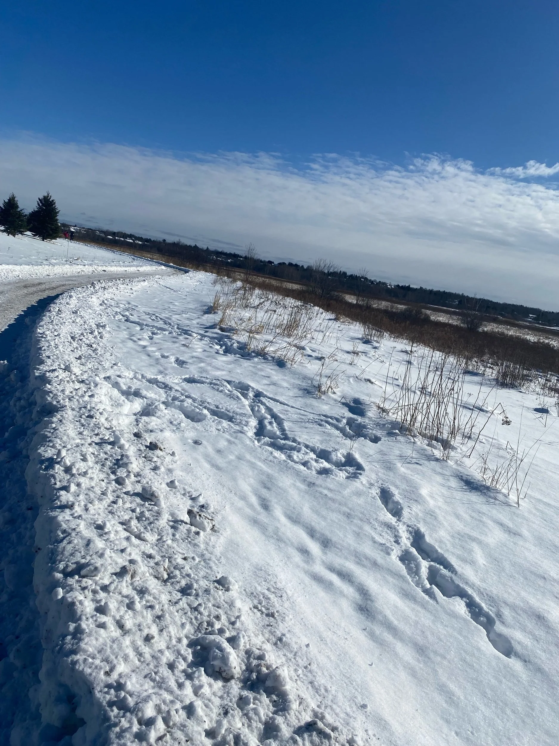 A Valentine’s Weekend to Remember: Love, Laughter, and New Connections