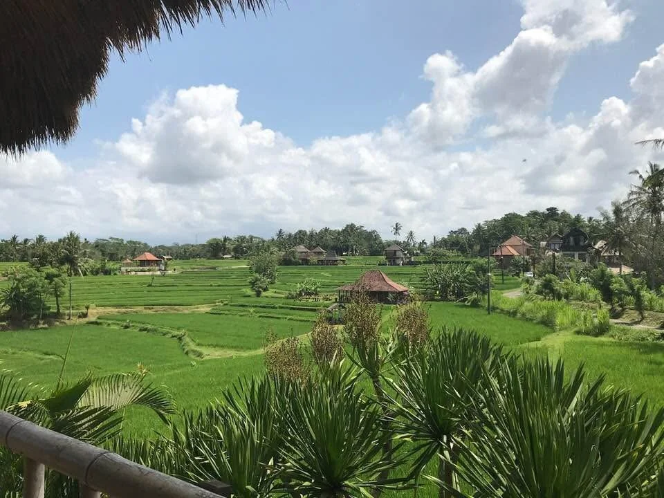 A Journey Begins: Bali, My Father, and a Chance Encounter