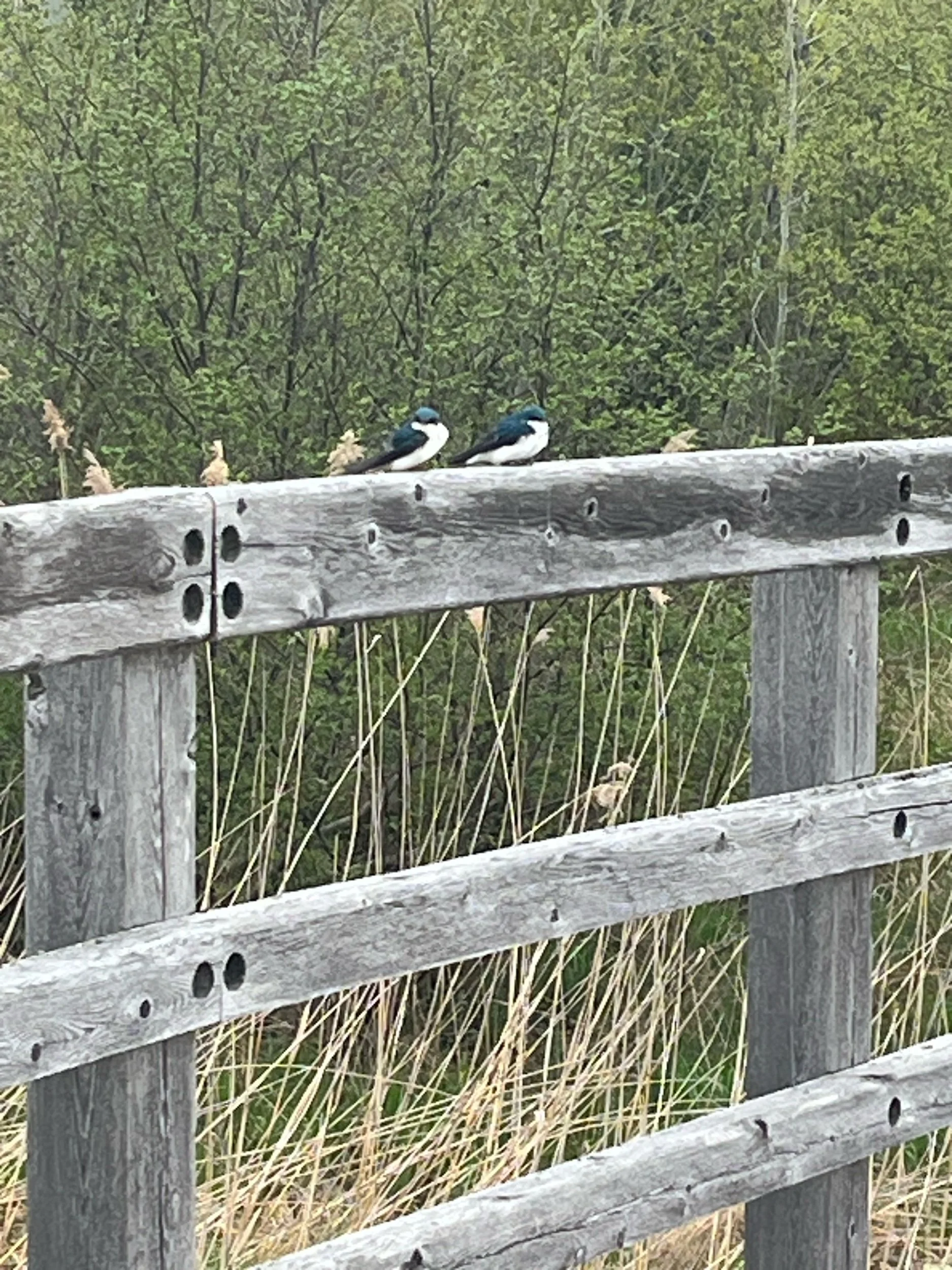 Celebrating International HR Day: The Heart of Our Organization