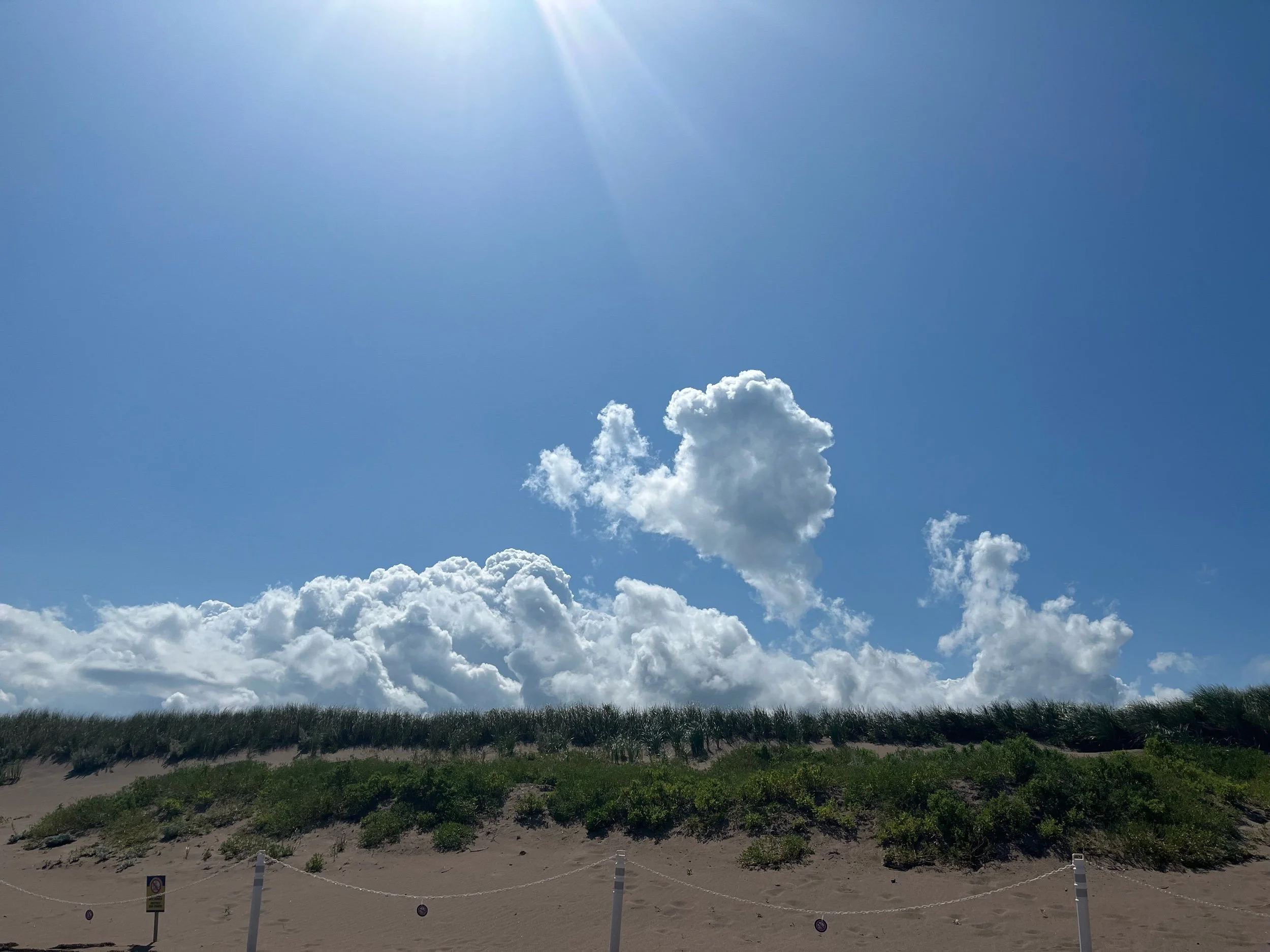 The Day I Learned Who I Was