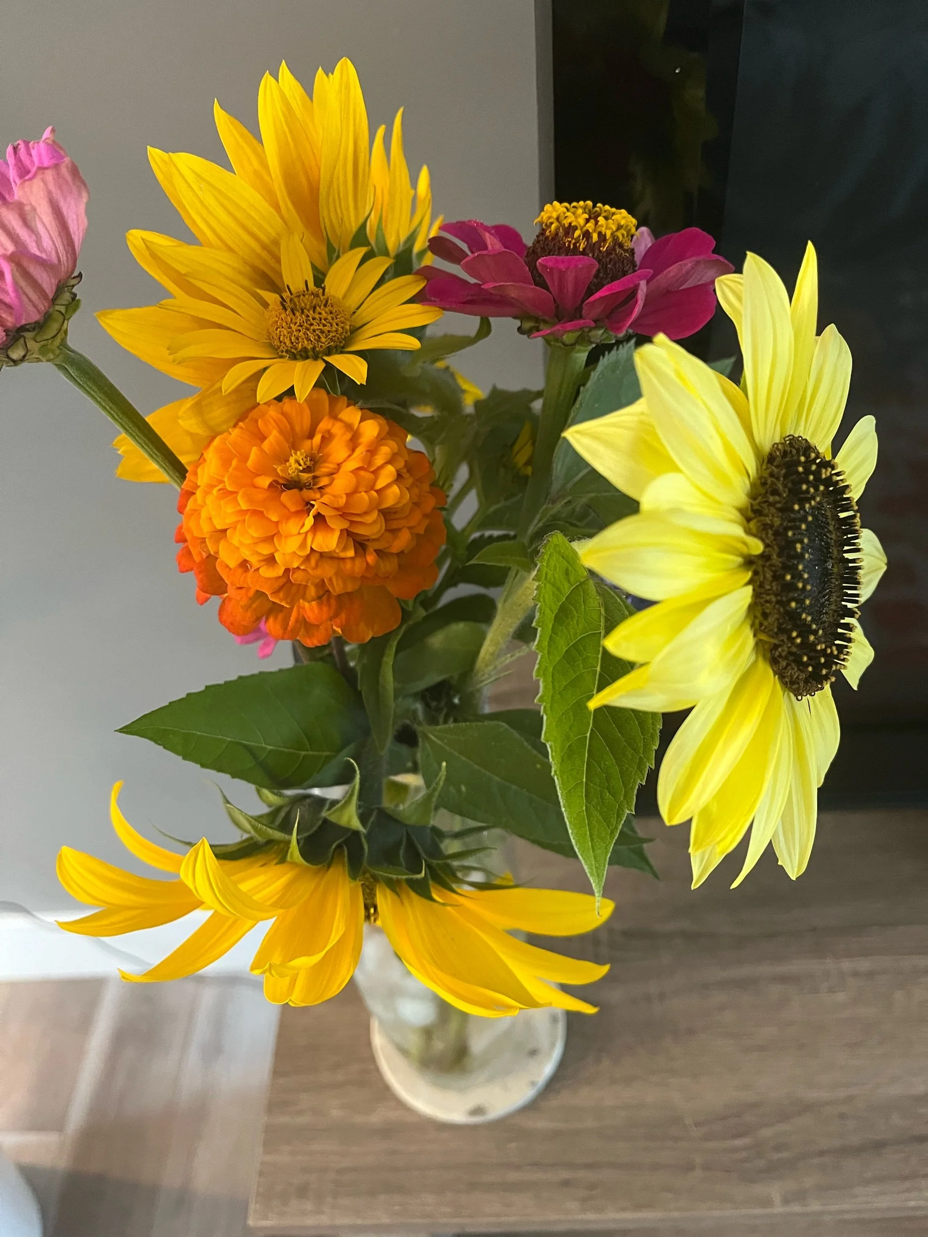 When the World Feels Heavy: Finding Light Through Small Steps