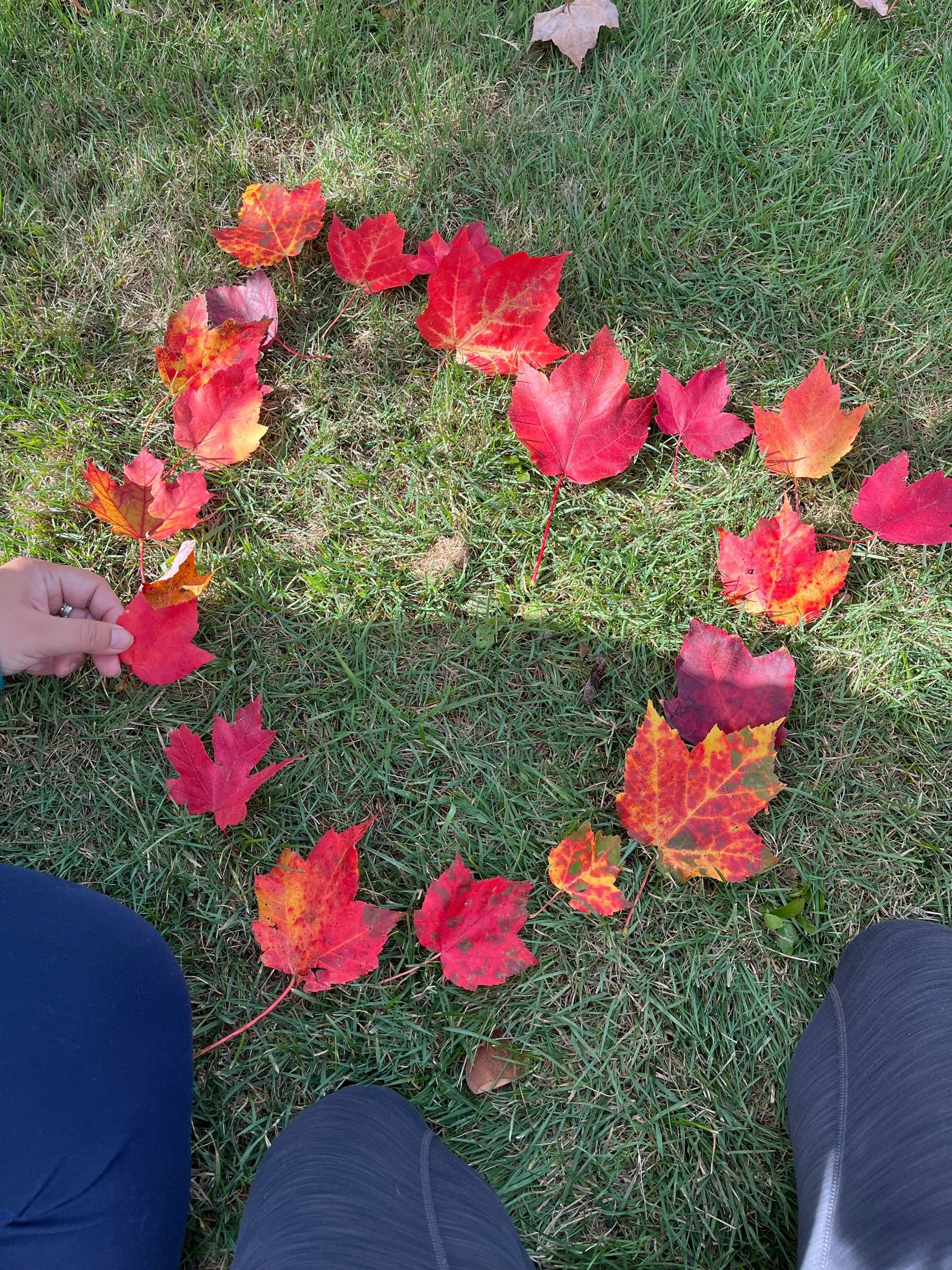 What 2025 Asked Me to Release — From the Body, From the Mind