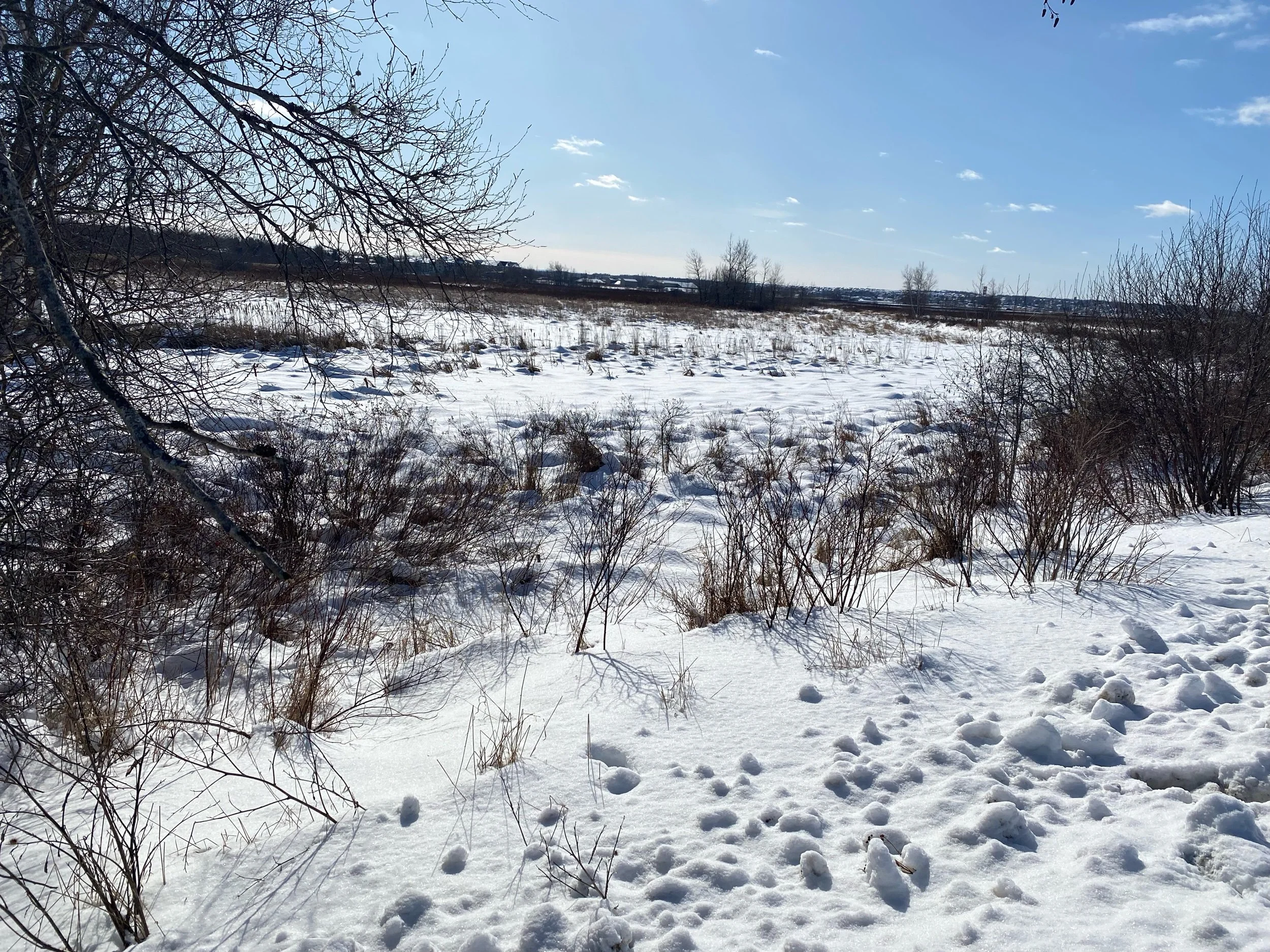 Carrying the Lessons, Not the Weight