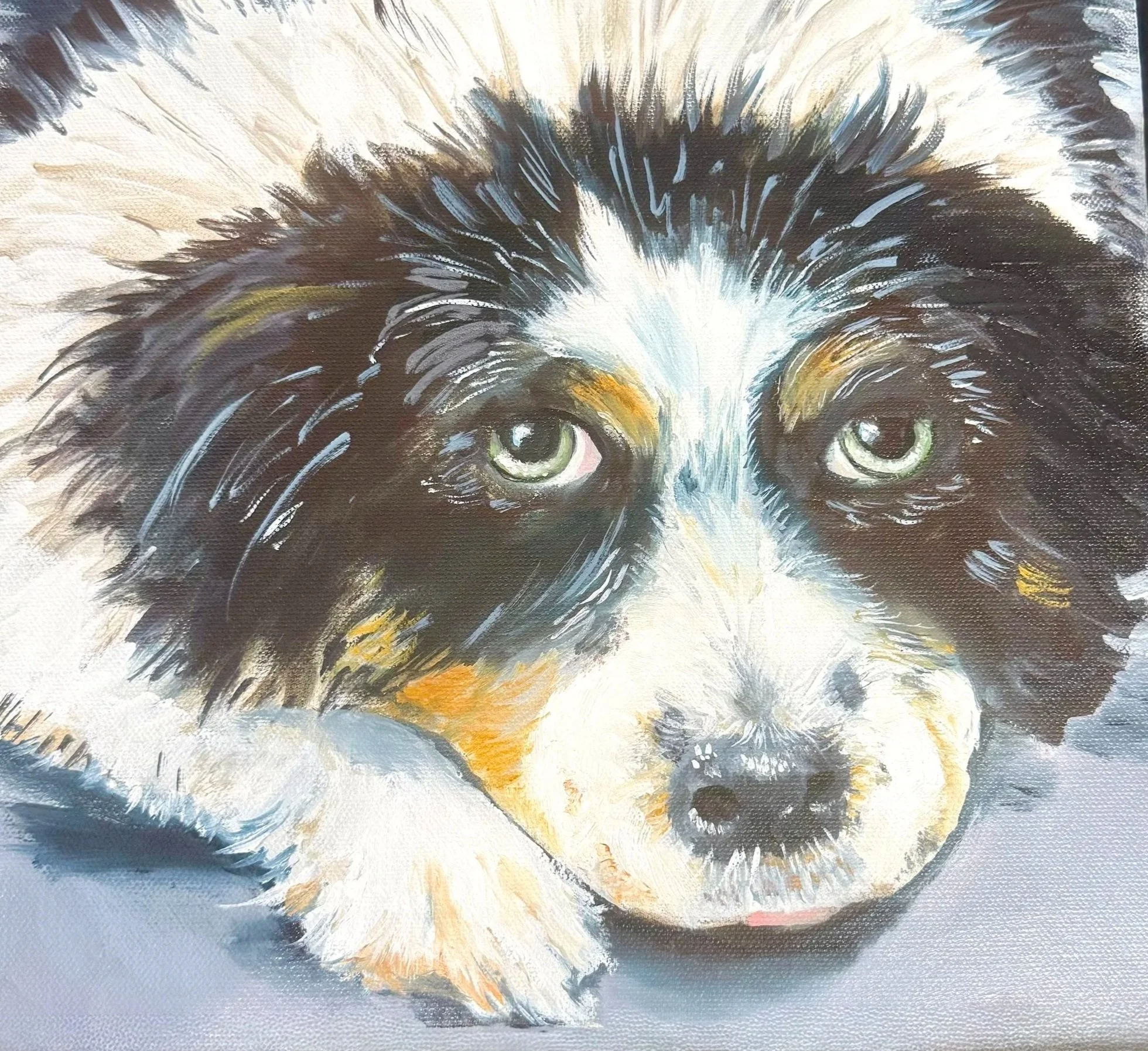 Pet portraits are my favorite to paint!  This is an 8" x 8" oil on canvas.  Call me to paint your pet!