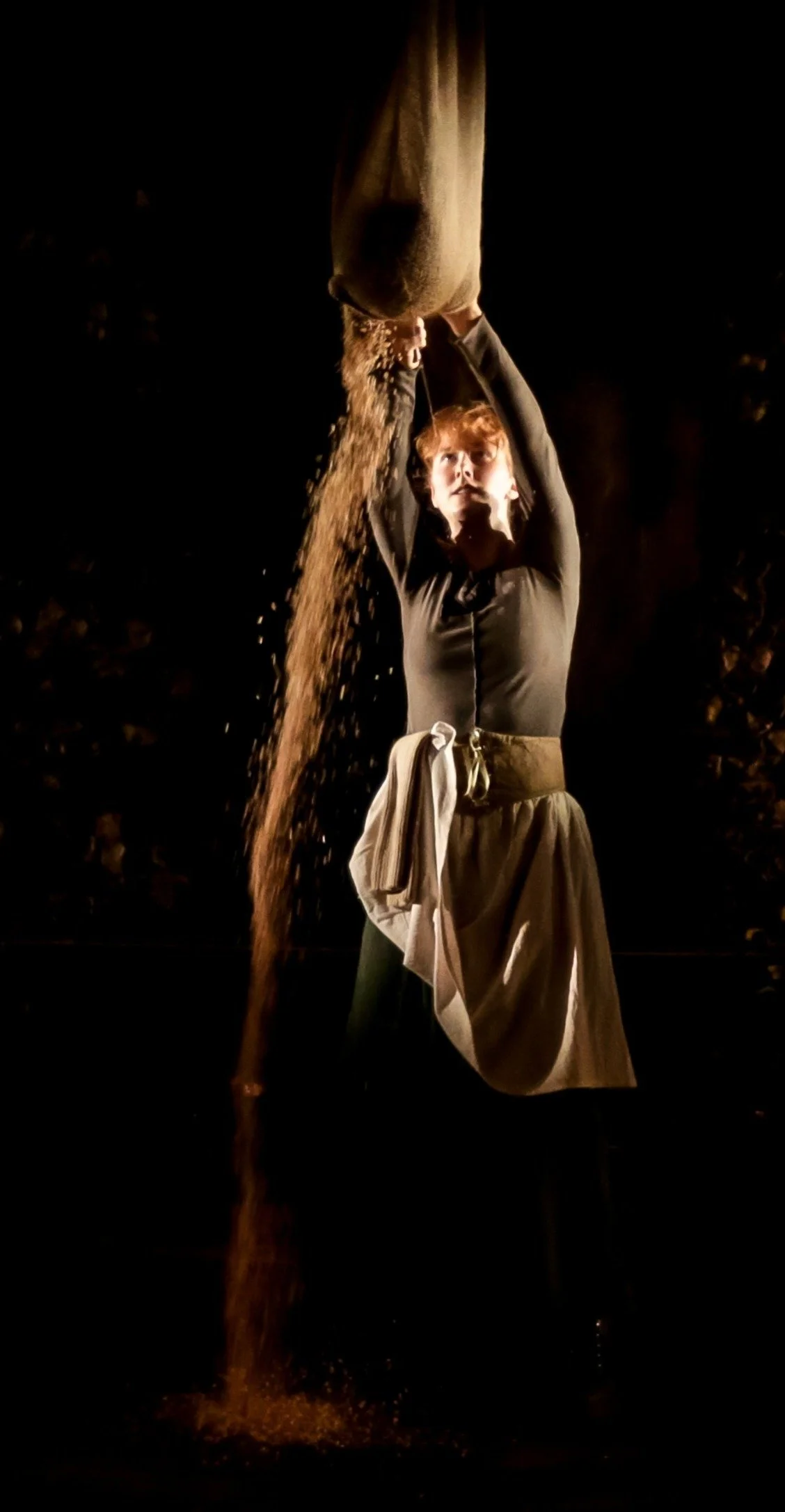 island Daisy & grains cropped singal.JPG