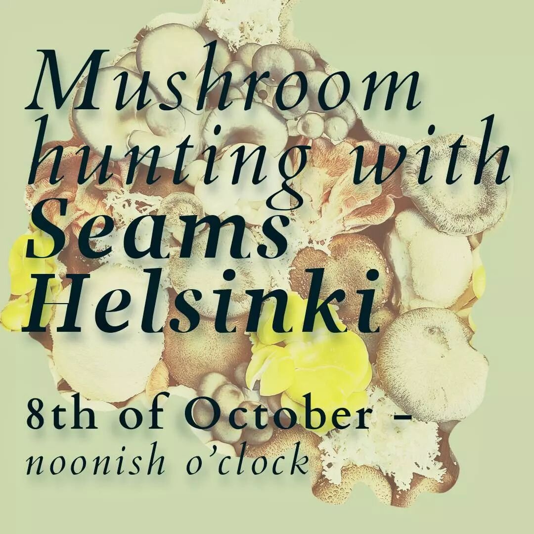 Update: 
NEW DATE 9.10th!!! PM if you are interested in car ride

Mushroom season is here! We're going, jump on board!

We'll leave around noon from central Helsinki. We're currently scouting for good spots, we'll let everyone know the exact time and