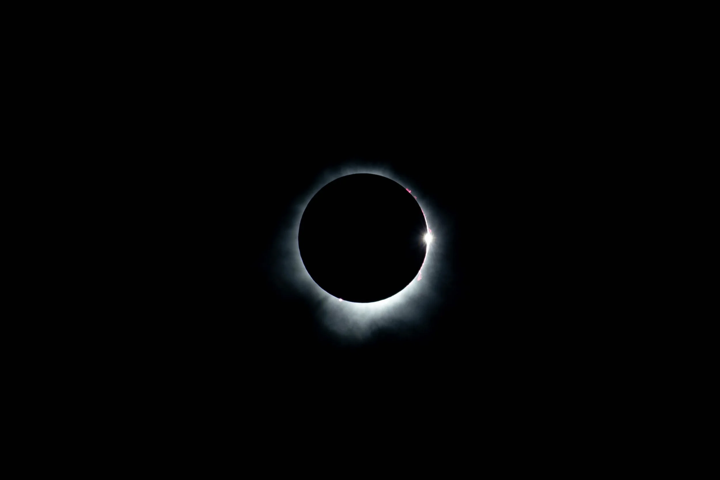 A solar eclipse during totality in Burlington Ontario. April 8th, 2024. (Kaj Larsen Photo)