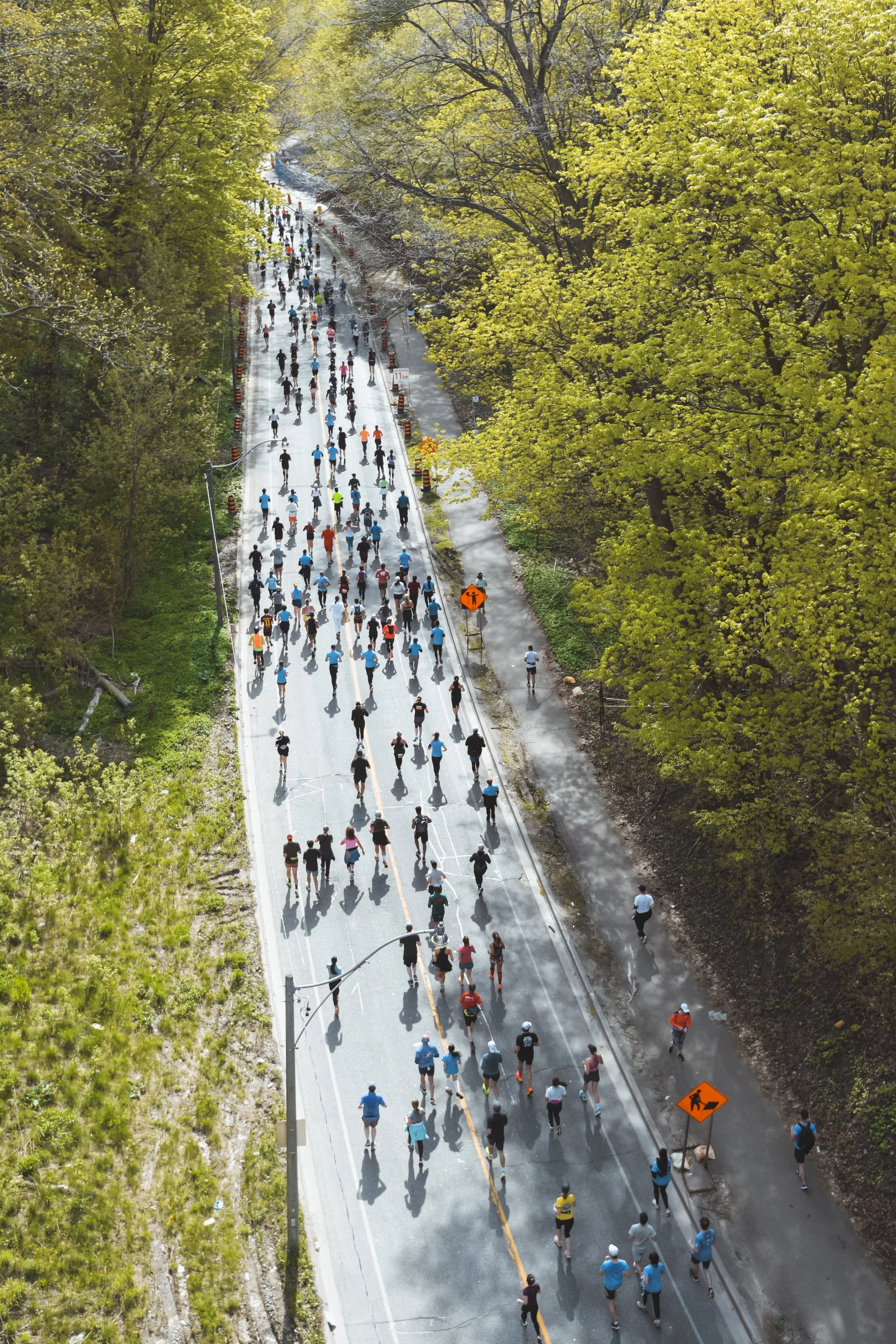 Runners scamper through Rosedale Valley during the Toronto Marathon. May 7, 2023. (Kaj Larsen Photo for Marathonfoto/Toronto Marathon)