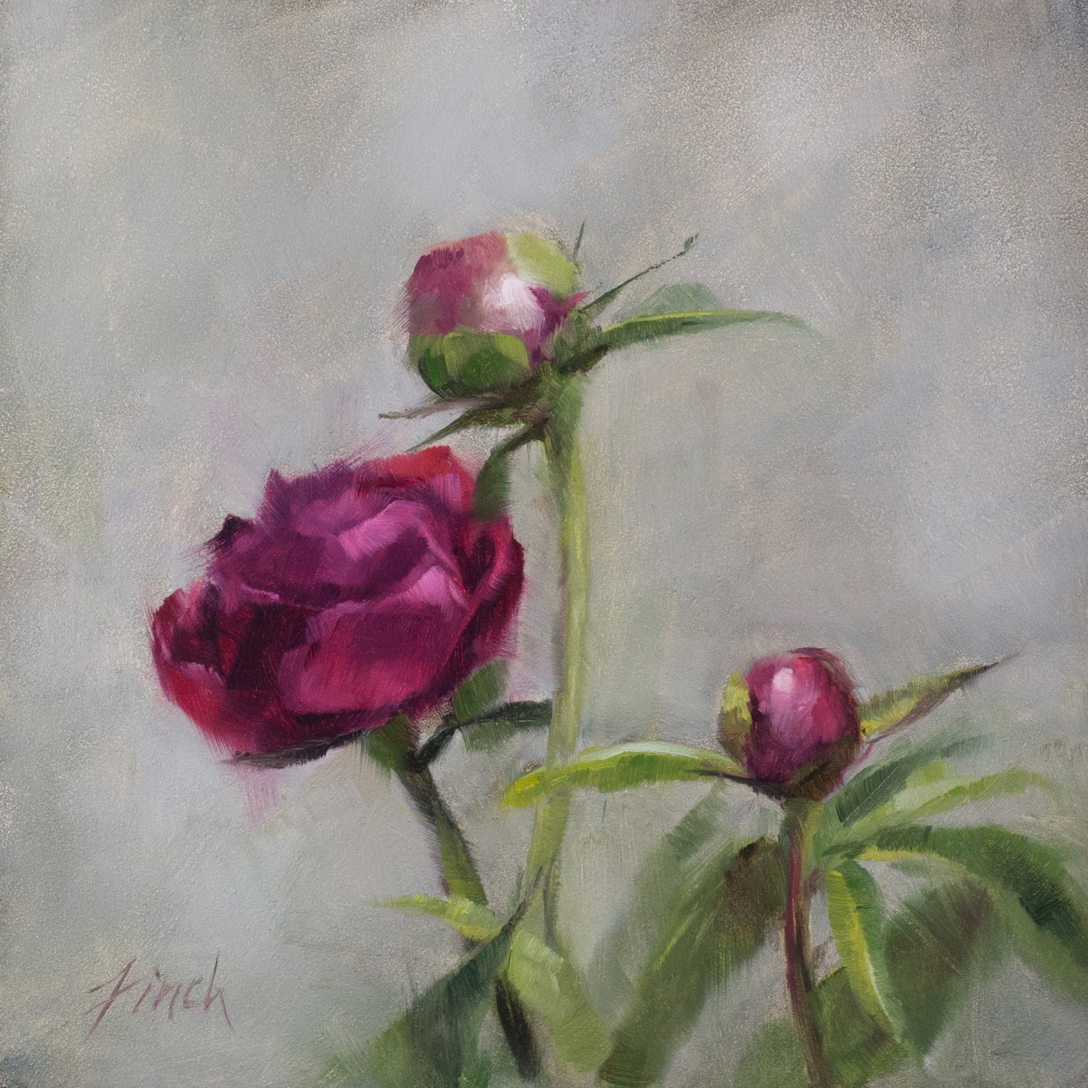 Hopeful rebecca finch oil paintin hot pink peony.jpg