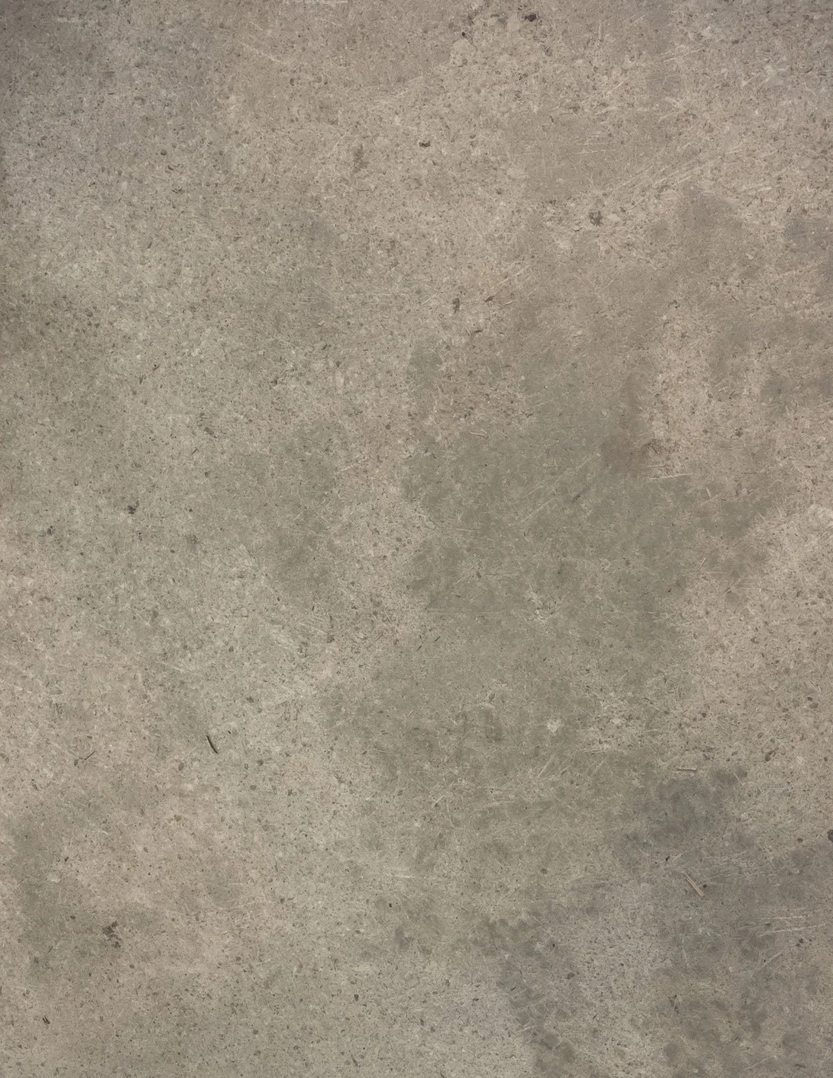 Tan Concrete Flooring