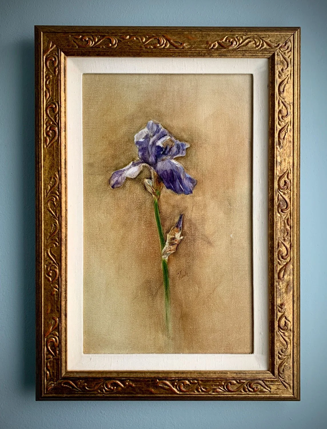 Modest-Beauty-framed.jpg