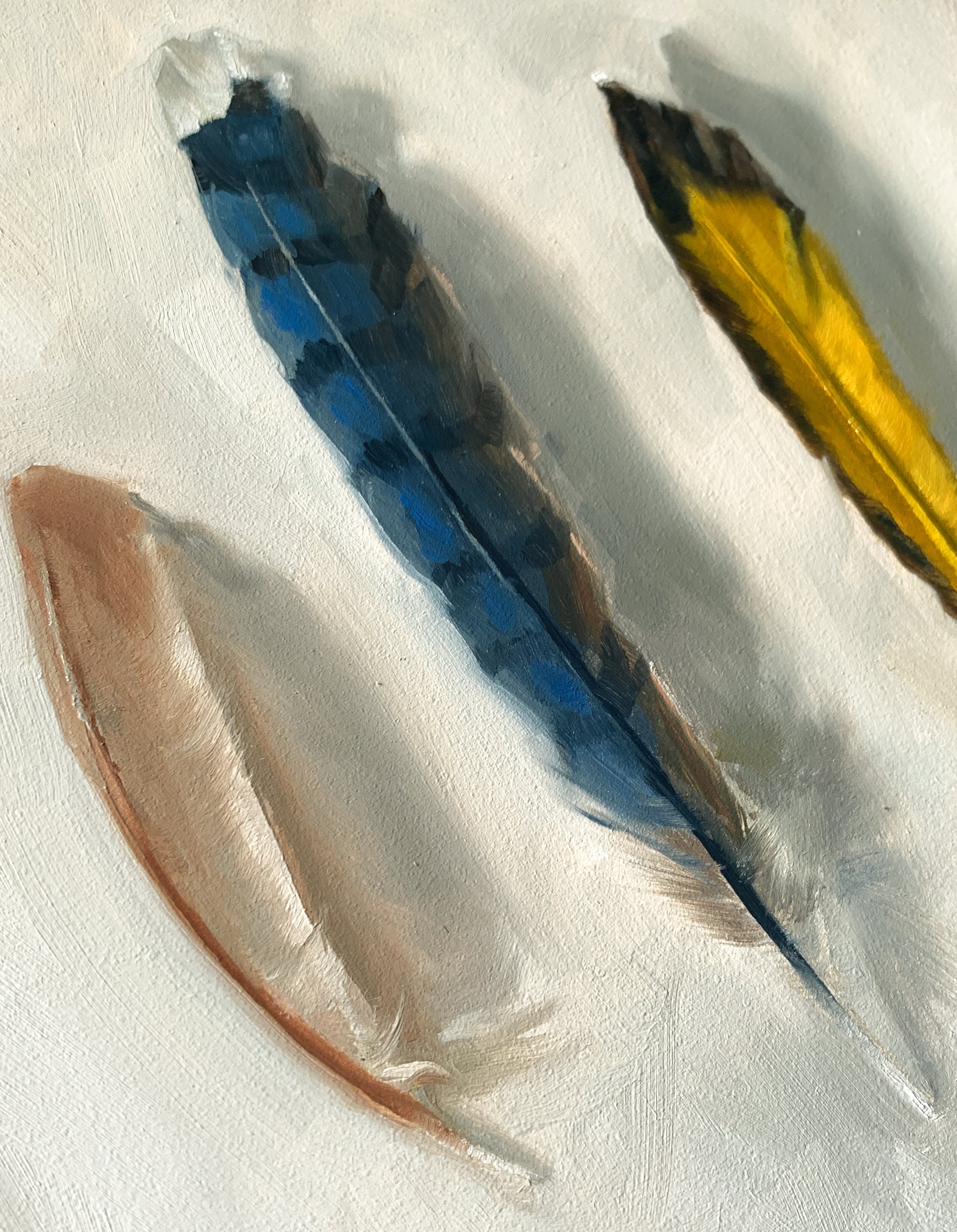 Avian Trifecta Detail2.jpg