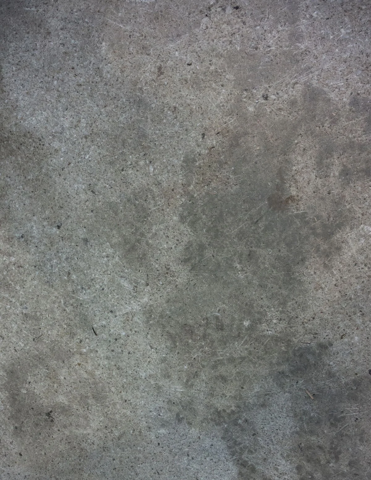 Gray Concrete Flooring