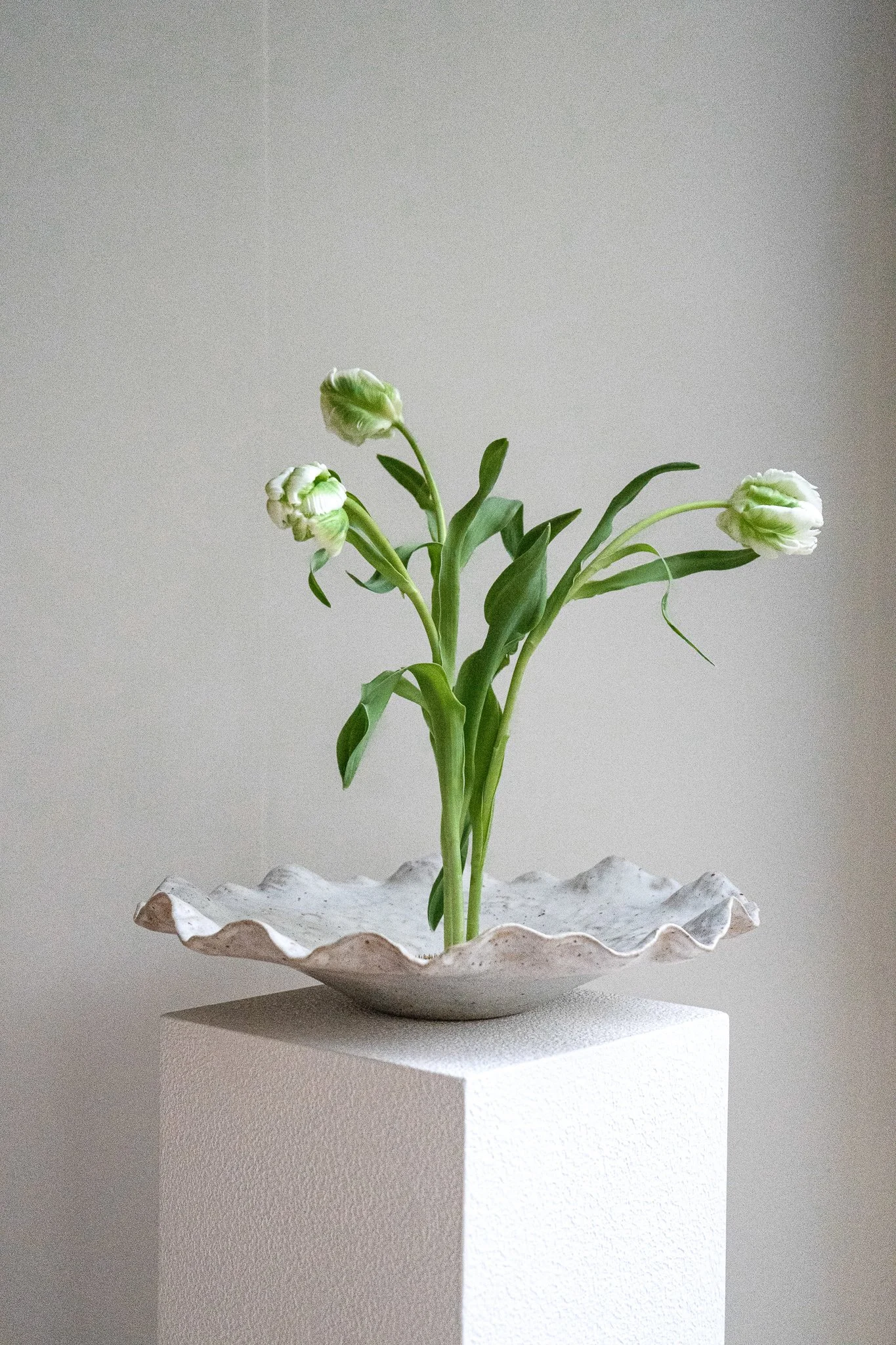 *STUDIO SALE* Pre Order - Rae Decorative Bowl