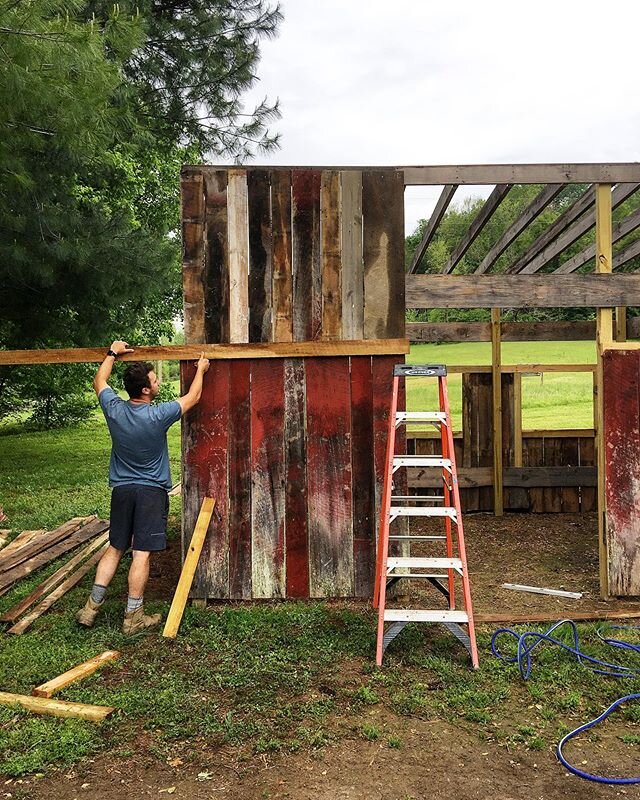 The farm is getting a BLACKSMITH shop! 🔥⚒🔥 It will be up and running in a few weeks! Marigrace is our farm Blacksmith. We have been reclaming lots of old barn wood from around the farm and it&rsquo;s going to look like it&rsquo;s been here forever!