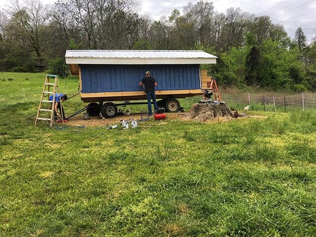 We have made so much progress on the chicken coop! Justan has been working so hard and leading the farm team to get it all done. Check out my story to see some more fun updates. #farmfamily #Organicfarming #organic #organiceggs #dayspringfarmstn #tha