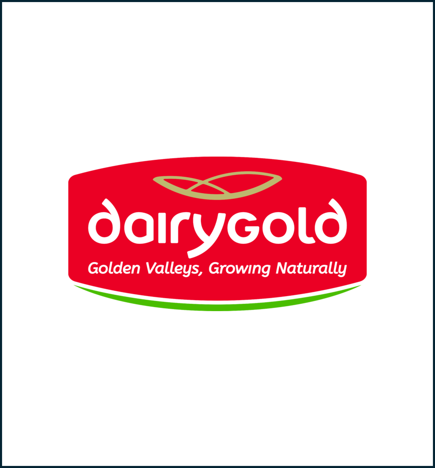 Dairygold Logo