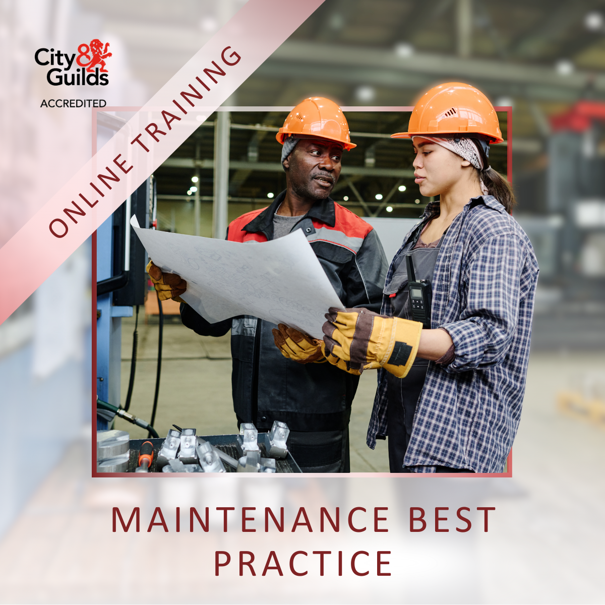 Maintenance Best Practice Online