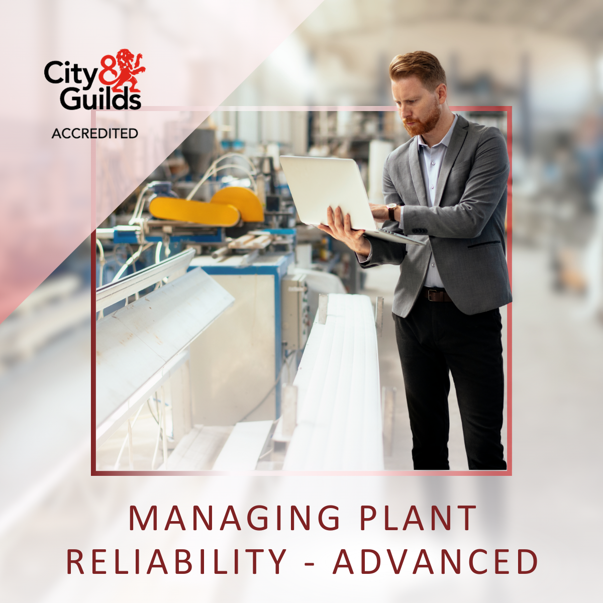 Managing Plant Reliability - Advanced