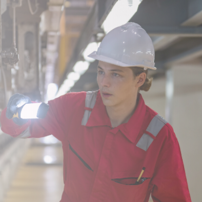 Individuals moving from technical to leadership roles