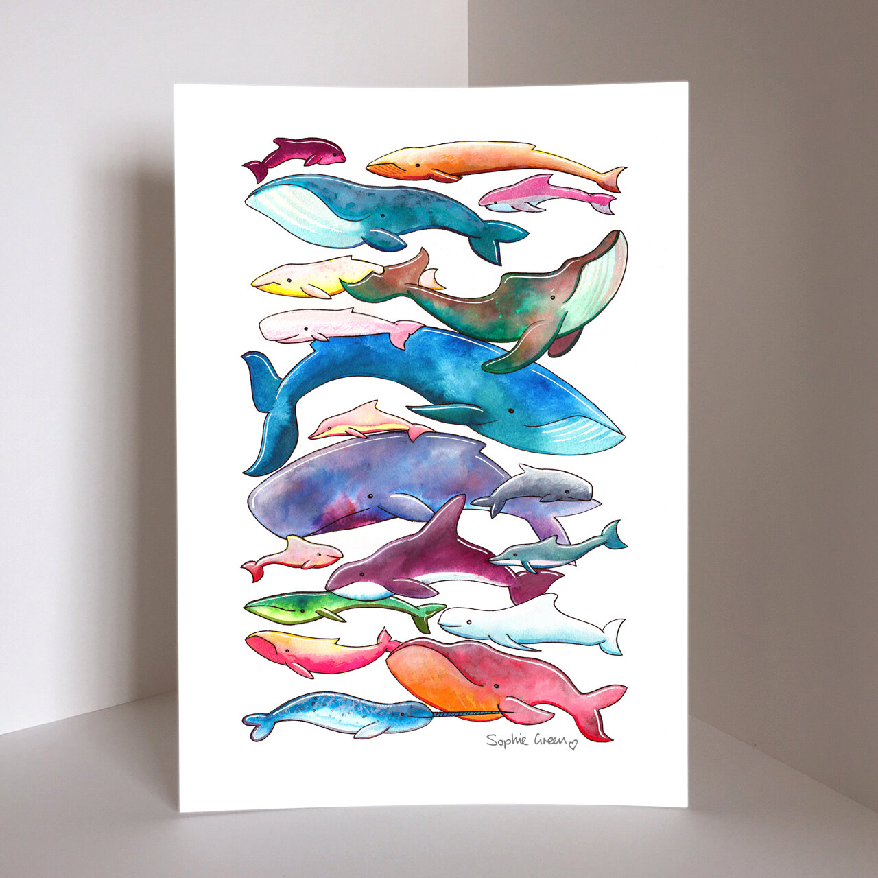 whales web.jpeg