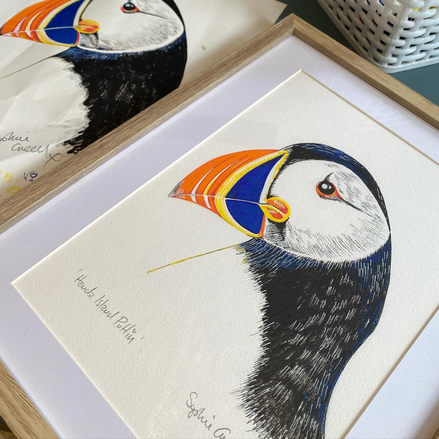 A Puffins appreciation post!

So last month a customer bought an original puffin illustration from my website and I quickly realised it had been damaged in storage. Not wanting to let the customer down (and because I like drawing puffins) I offered t