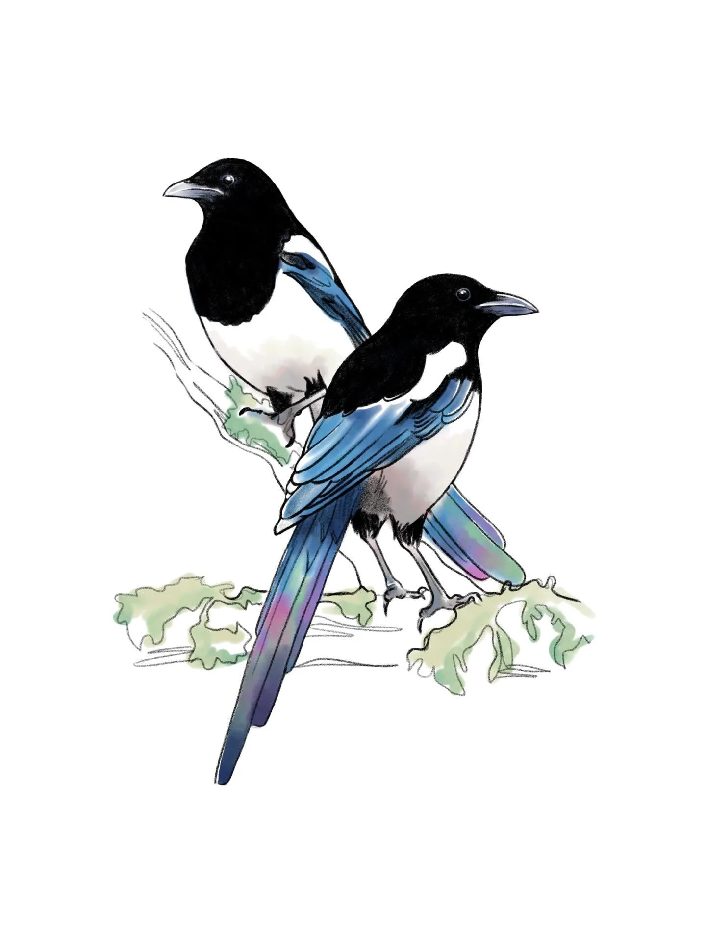 I&rsquo;m dropping a little bit of magpie &lsquo;Joy on the grid as I haven&rsquo;t been posting on socials much these days, and need to catch up! lots of things to share just struggling do so, anyone else completely exhausted with social media?! 

M