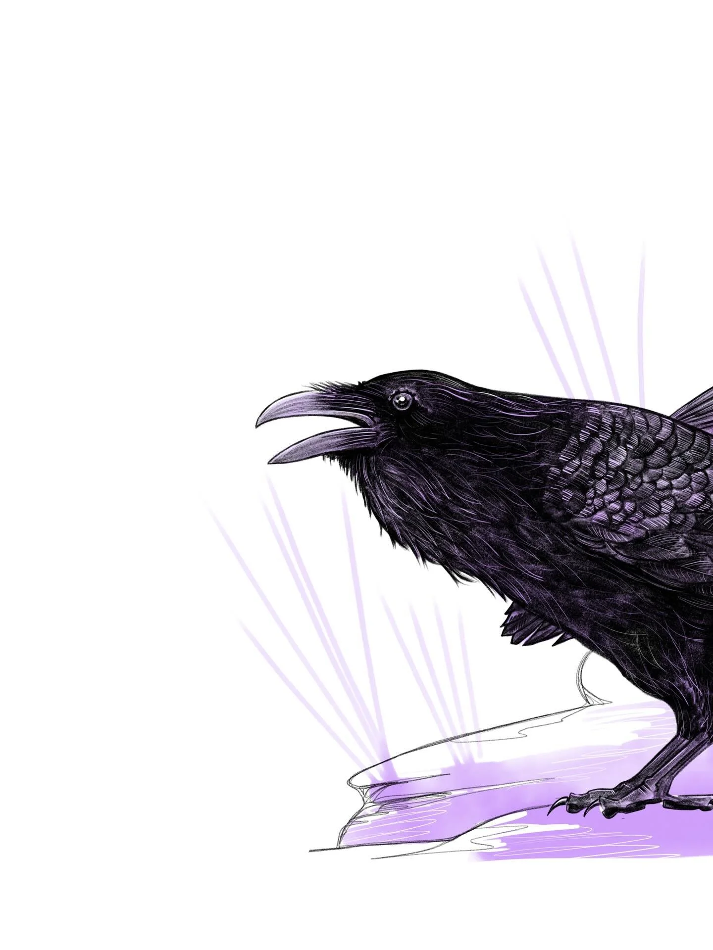 Ding Dong, a couple of &lsquo;Ravens Cawing&rsquo; for you on a Thursday morning. 🐦&zwj;⬛ 

Swipe ➡️

Singed prints available, wholesale available, links in bio.

Cheers birds

#raven #corvid #crow #birdart #birdillustration