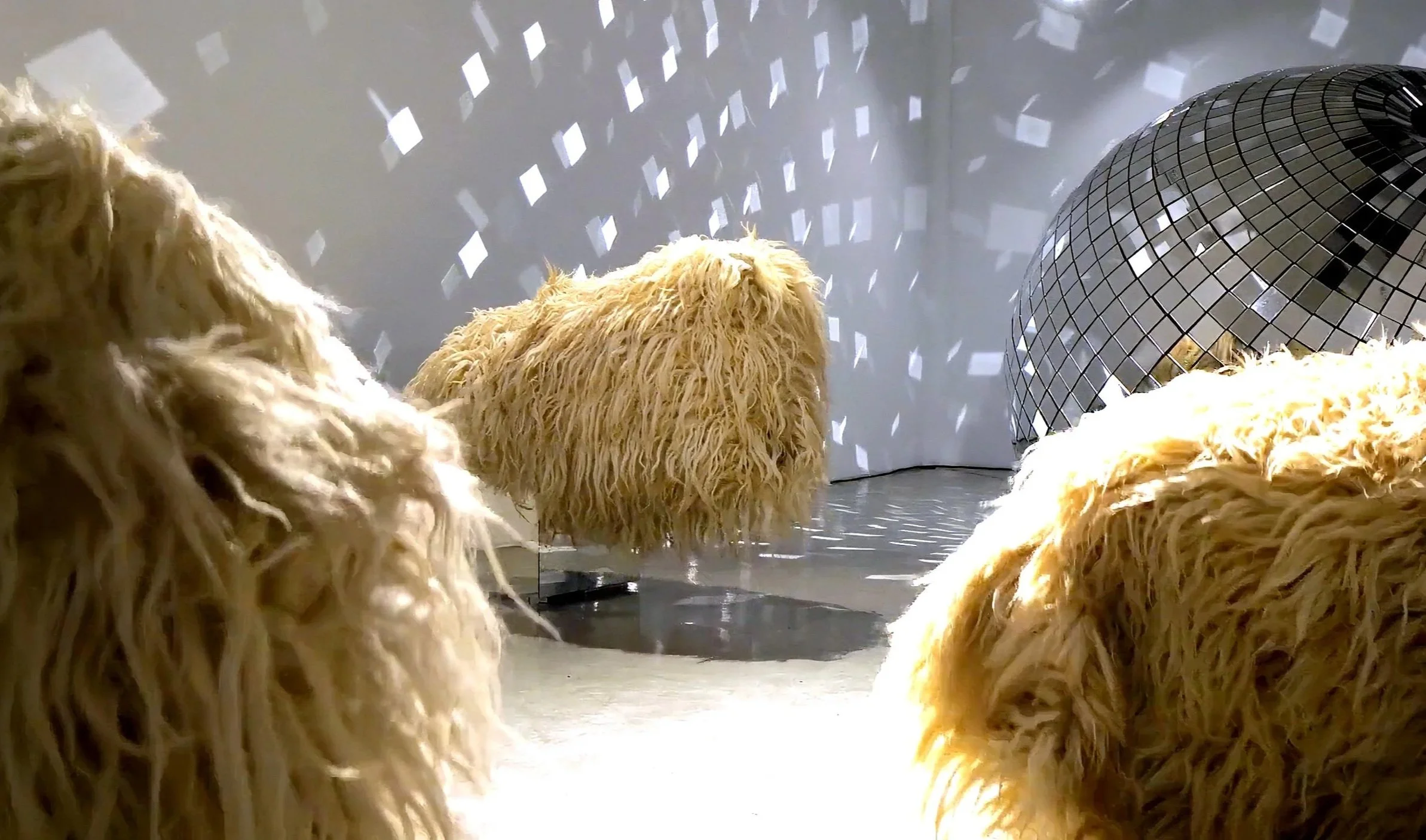 Kunstinstallation in einem Raum mit mehreren wolligen Hockern und einer weißen Wand mit Mustern, die vom Ball reflektiert werden.