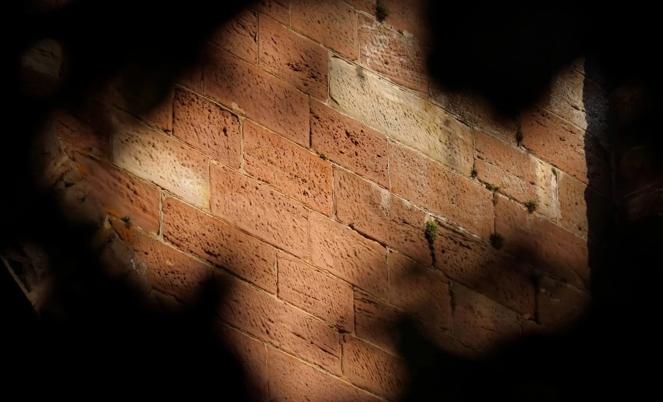 Rötlicher Backsteinmauer mit kleinen Pflanzen und Schatten im dunklen Rahmen.
