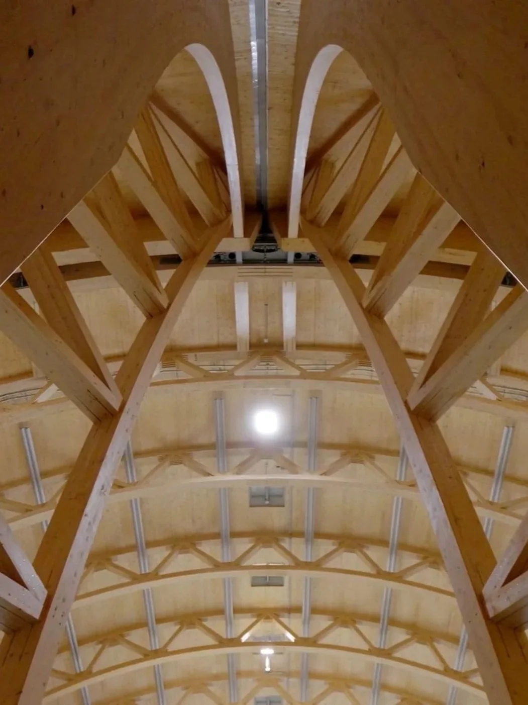 Innenseite eines großen Holzbaus mit gekrümmten Holzbalken, die ein gewölbtes Dach strukturieren.