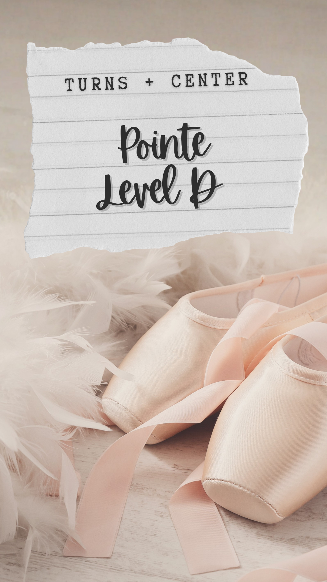 Pointe Level D Vertical.png