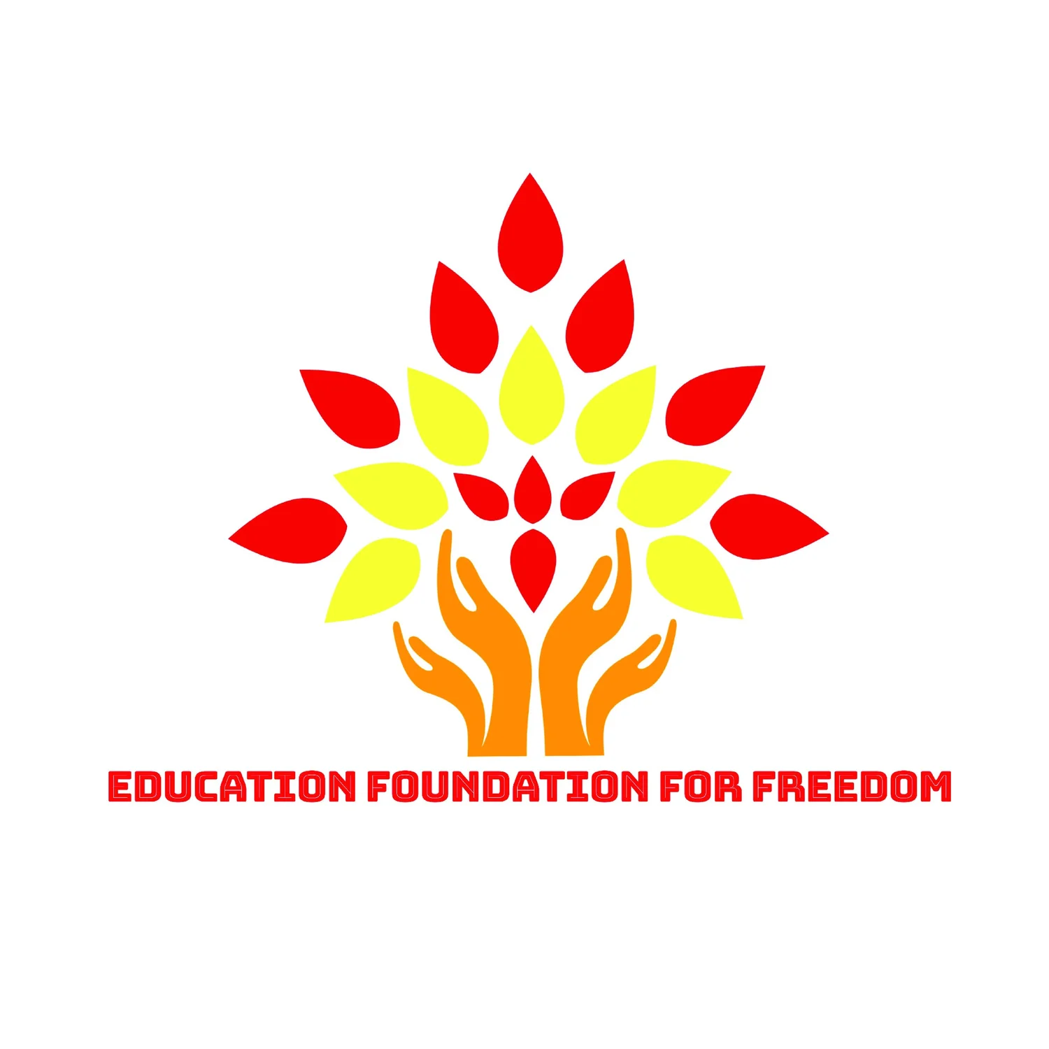 Education Foundation For Freedom