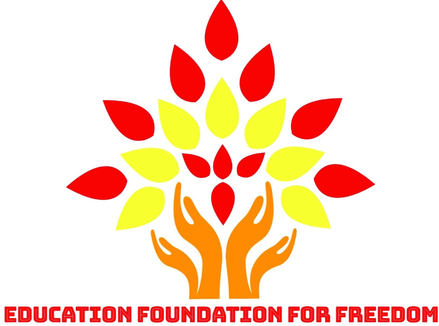 Education Foundation For Freedom