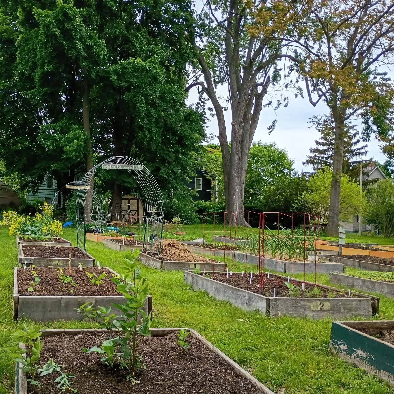 441 Community Garden