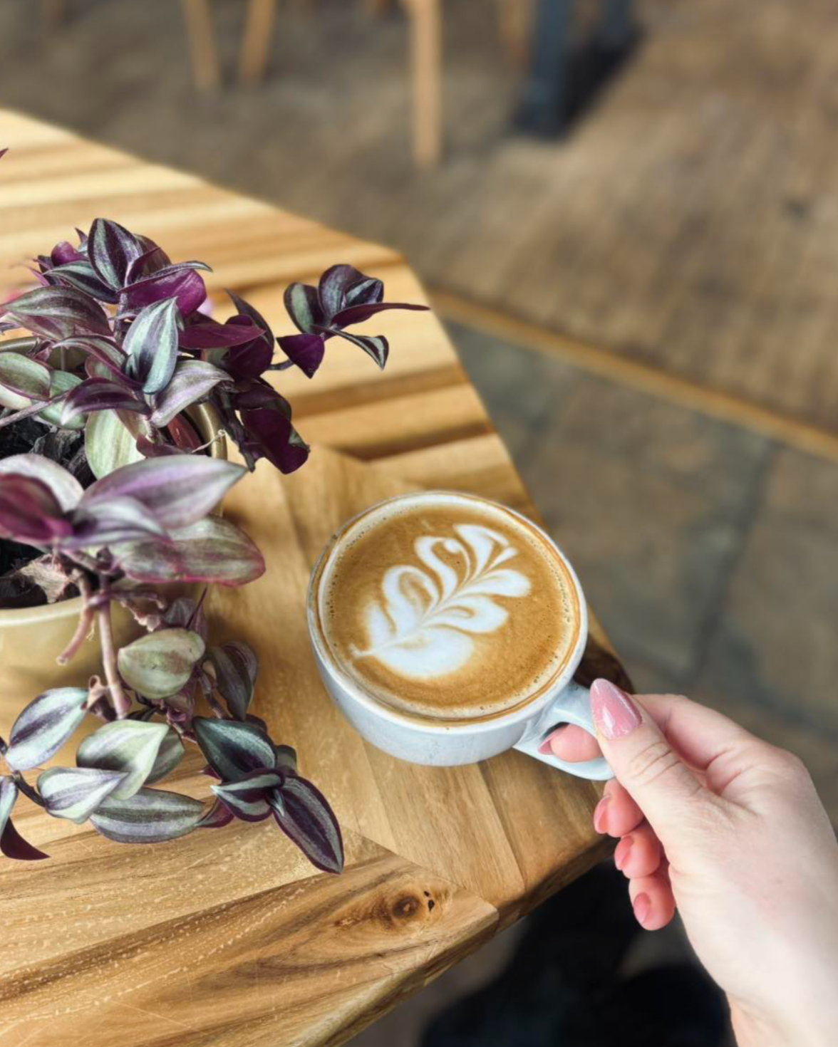 New City Cafe Latte