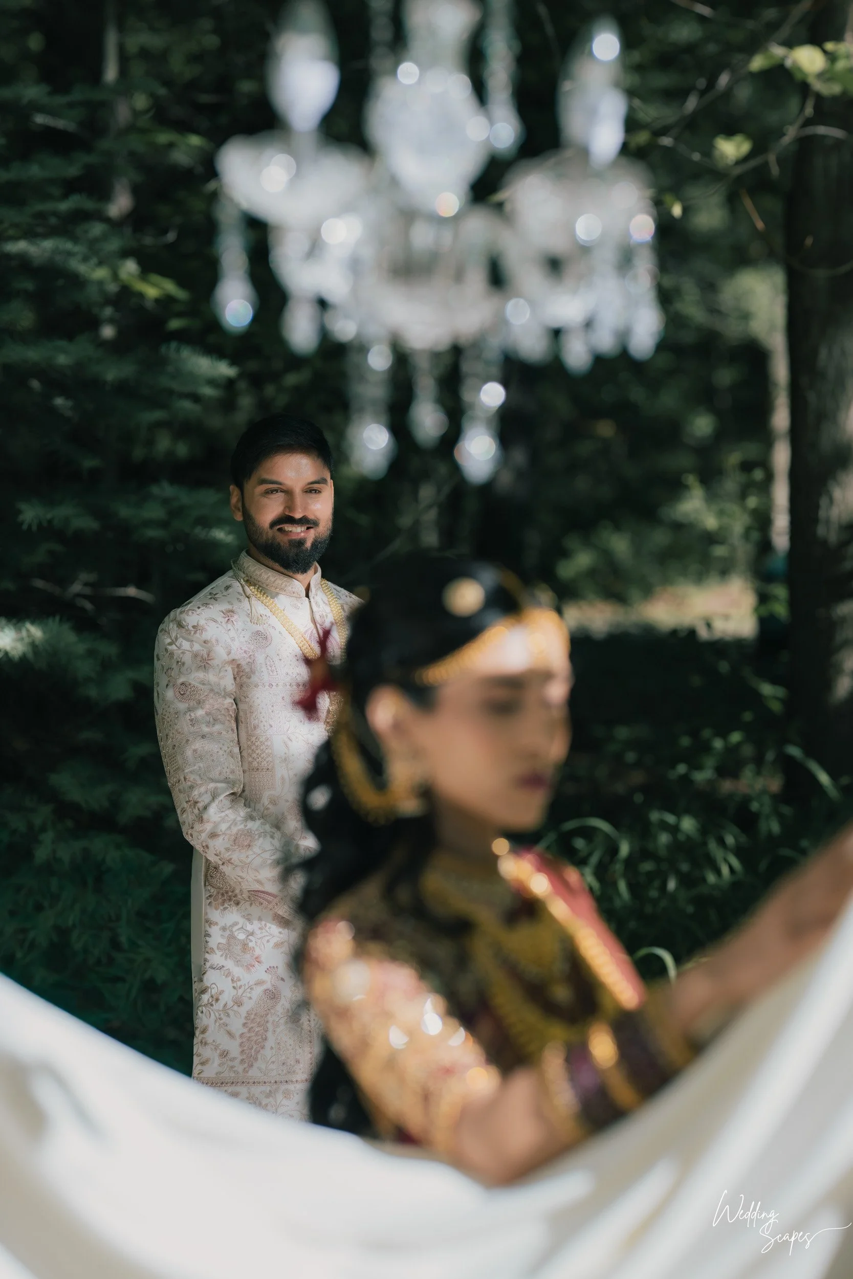 WEDDINGSCAPES_SudhakarBichali_Michigan-TwinLakes-96.jpg